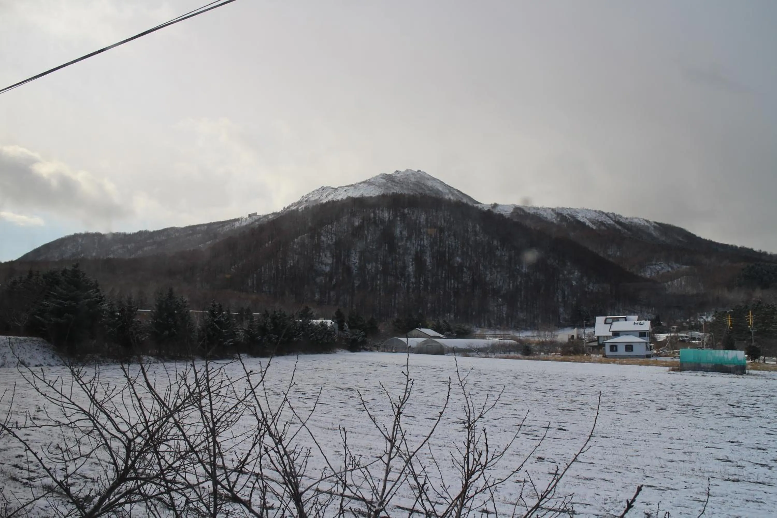 Natural landscape in Hotel Nakanoshima