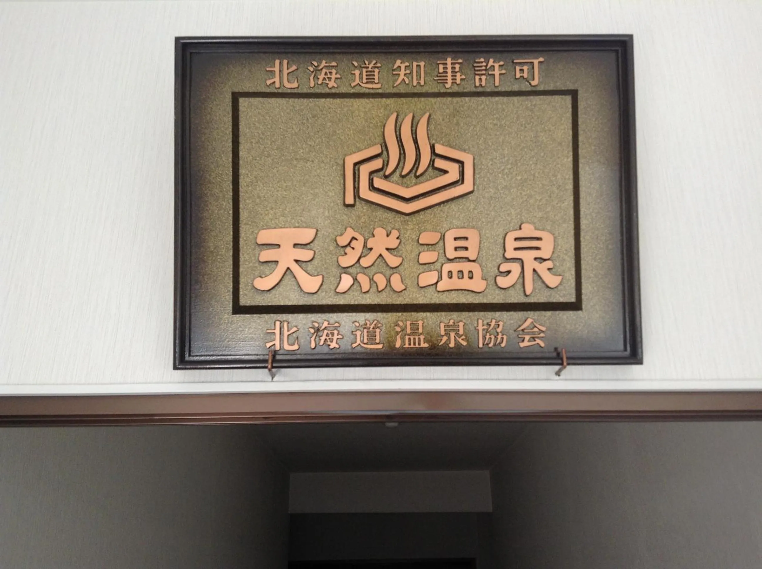 Hot Spring Bath in Hotel Nakanoshima