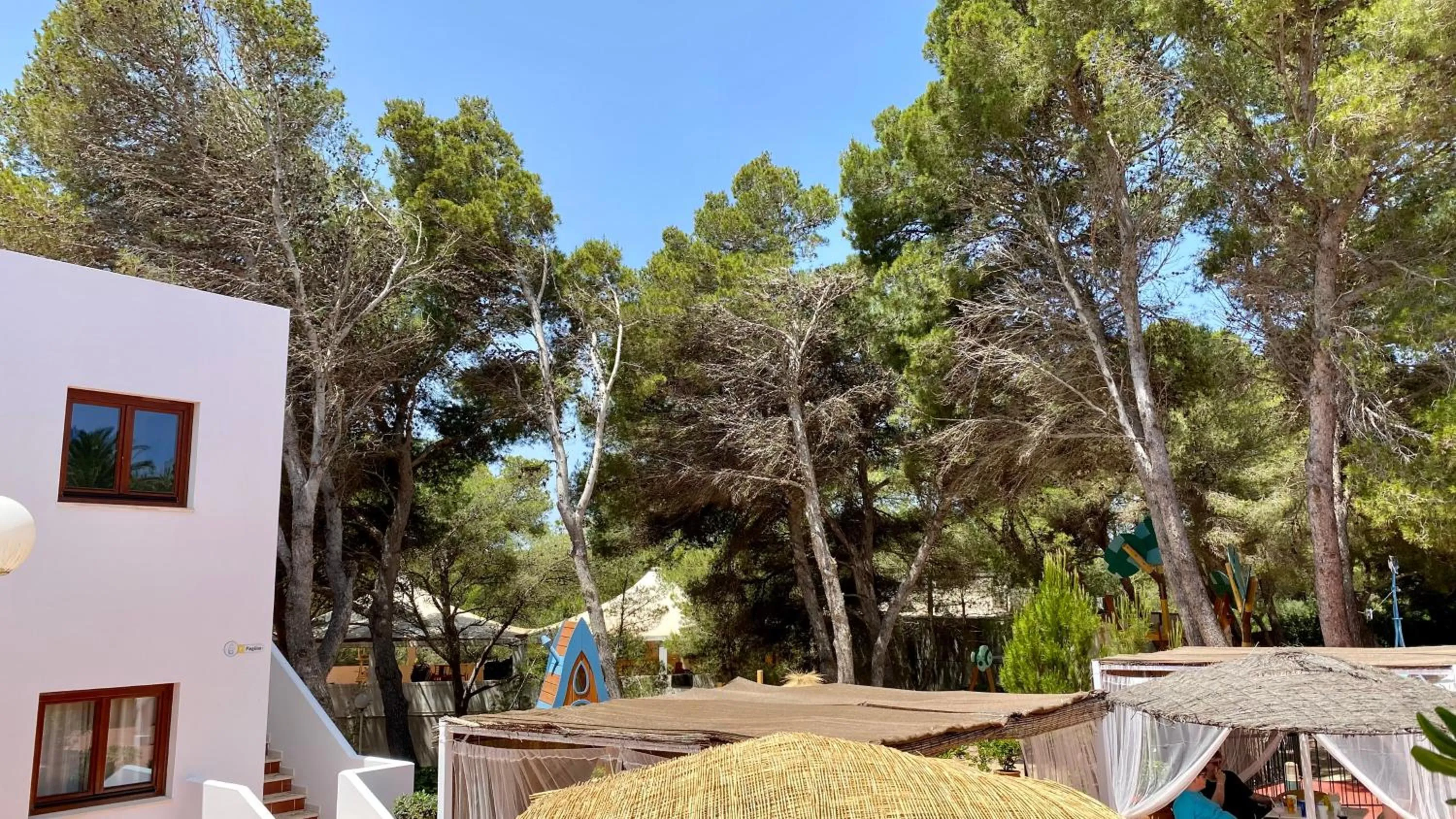 Natural landscape in Playa Parc Apartments