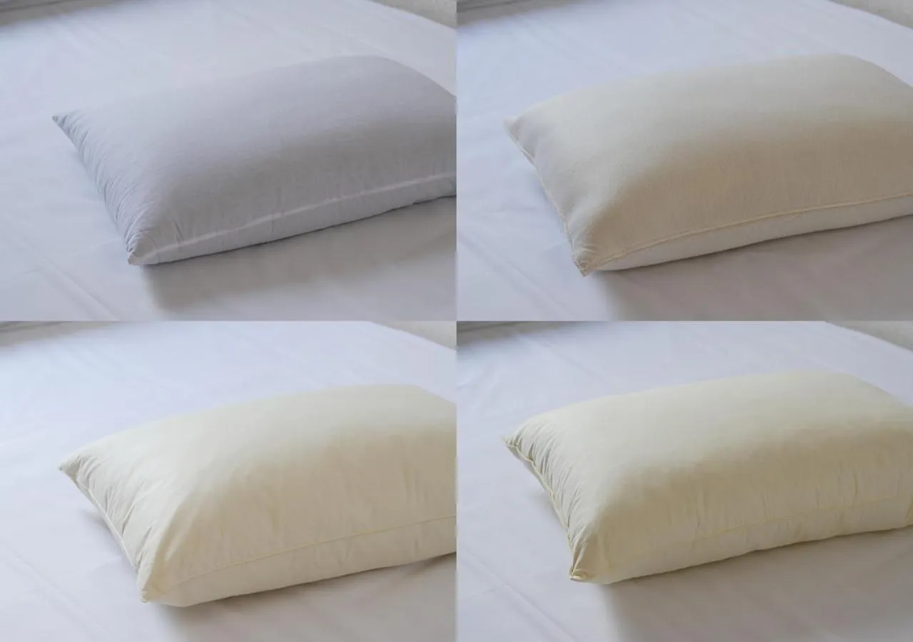 Photo of the whole room, Bed in Hotel Sorriso Hamamatsu