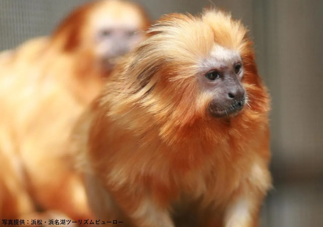 Nearby landmark in Hamamatsu Hotel