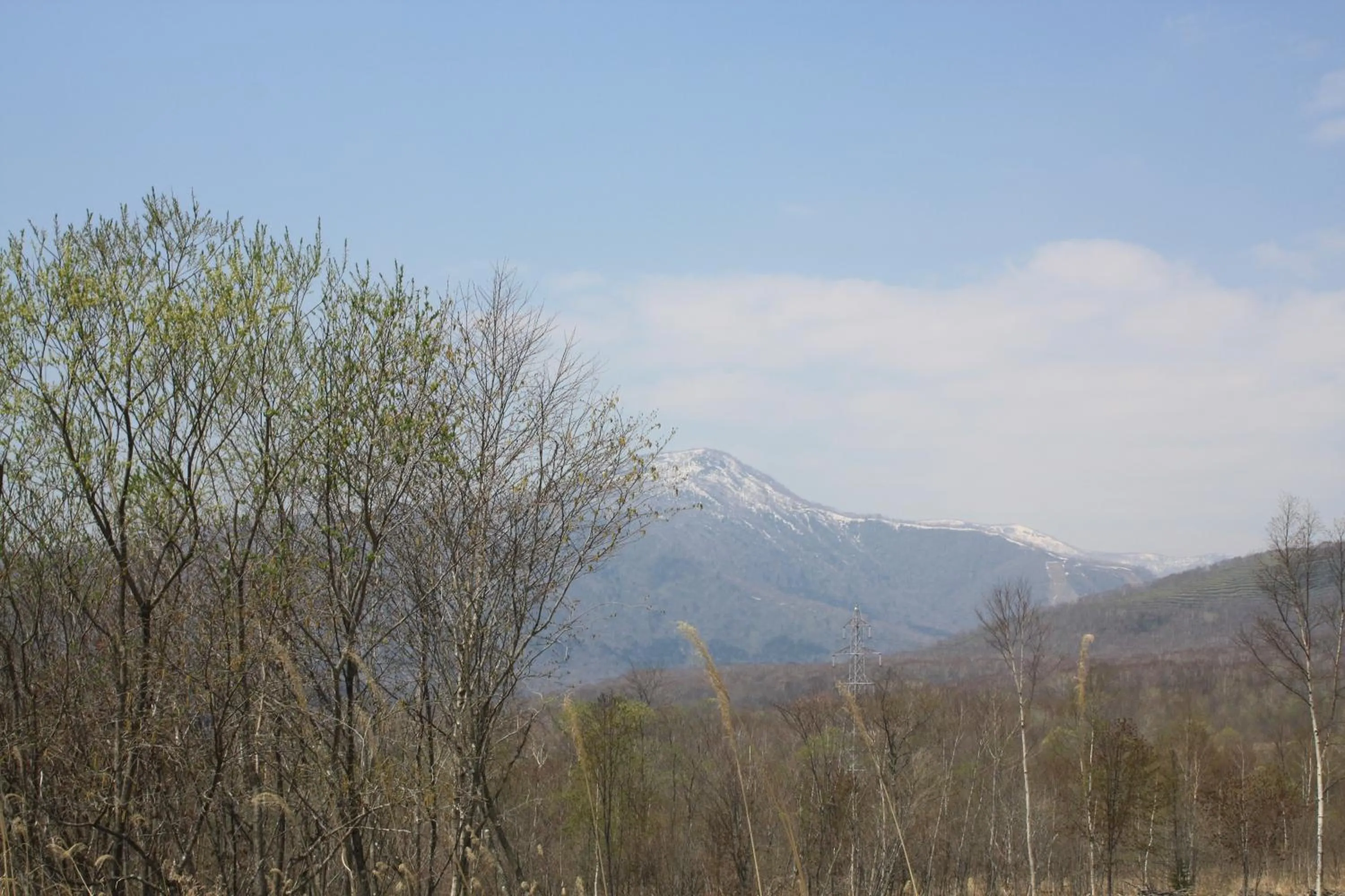 Area and facilities in Sanseikan