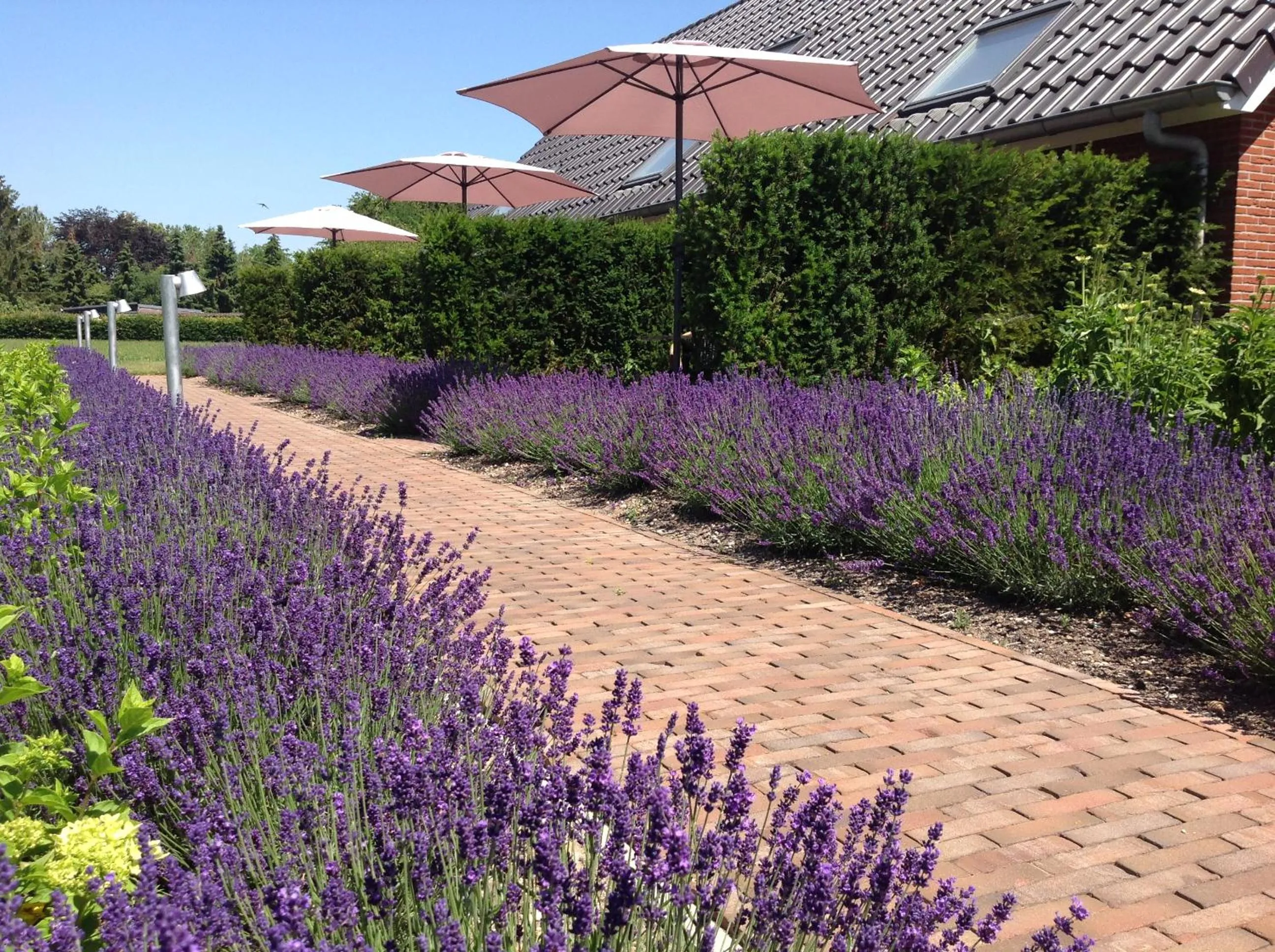 Day in B&B De Veluwe Hoeve