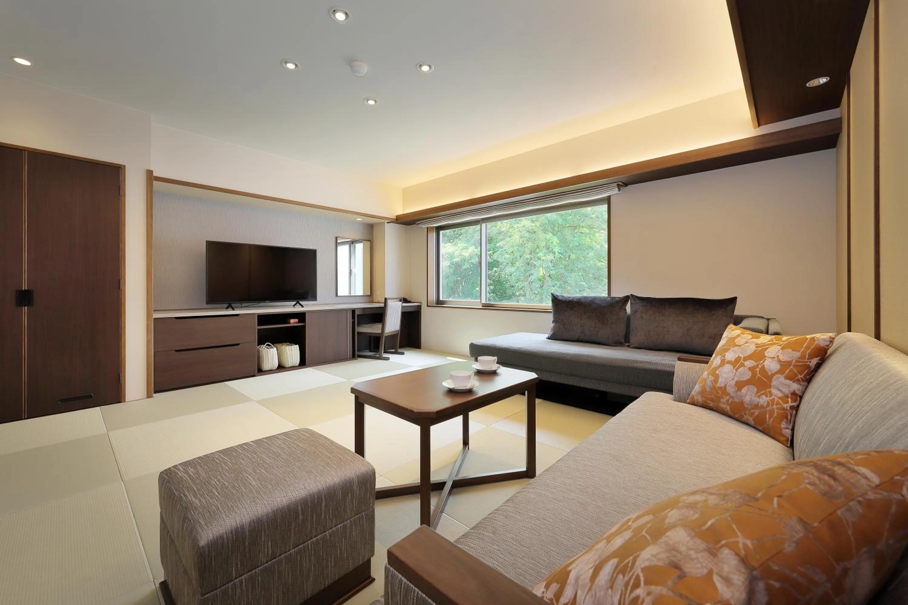 TV and multimedia in Zao Kokusai Hotel