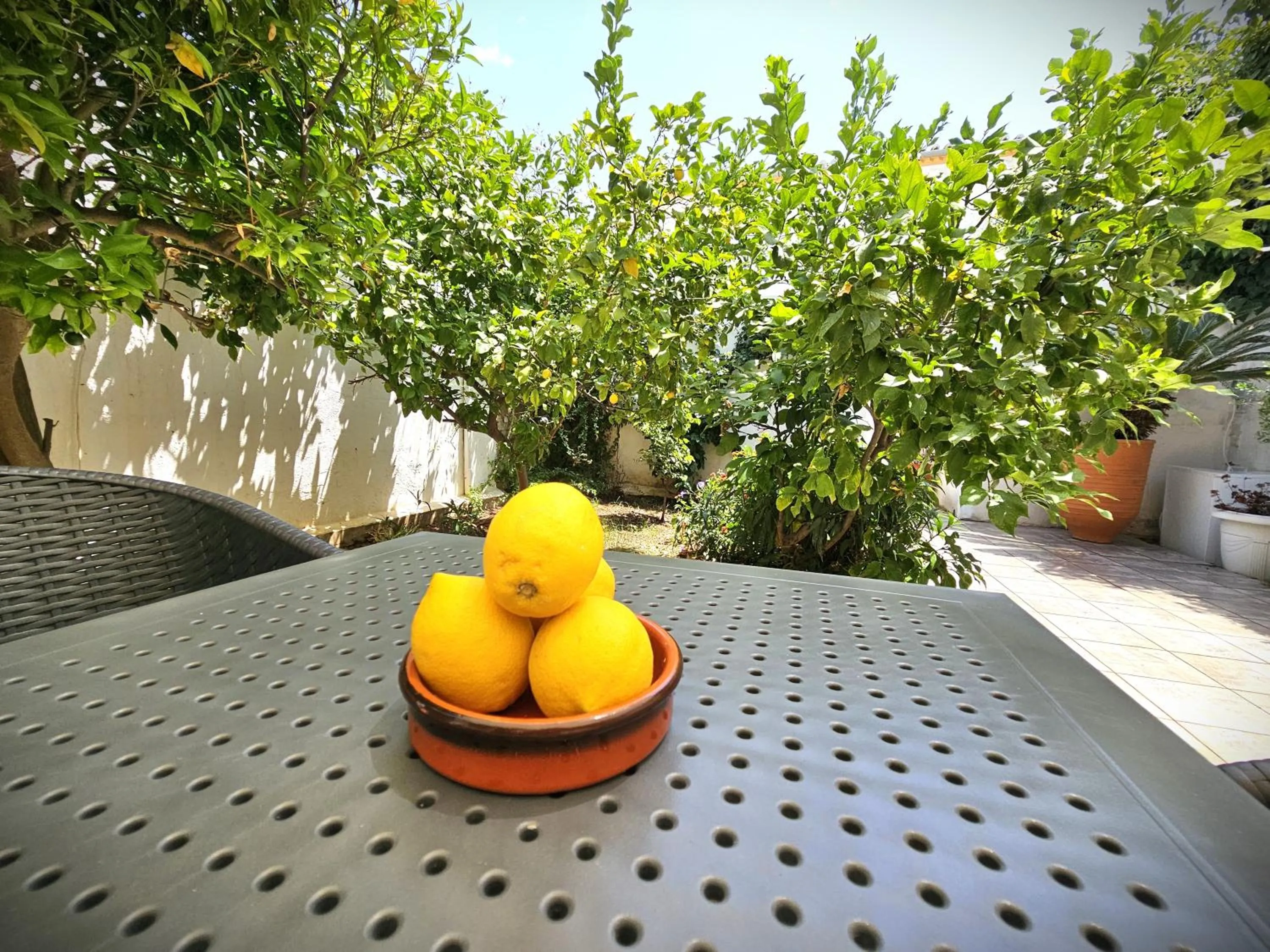Garden in Kirki Hydra