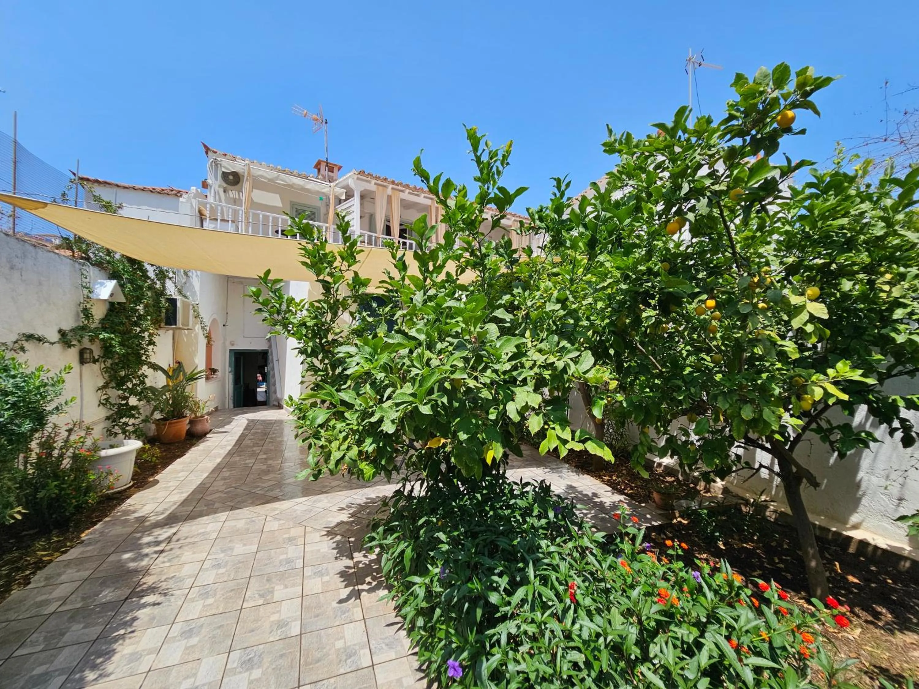 Garden in Kirki Hydra