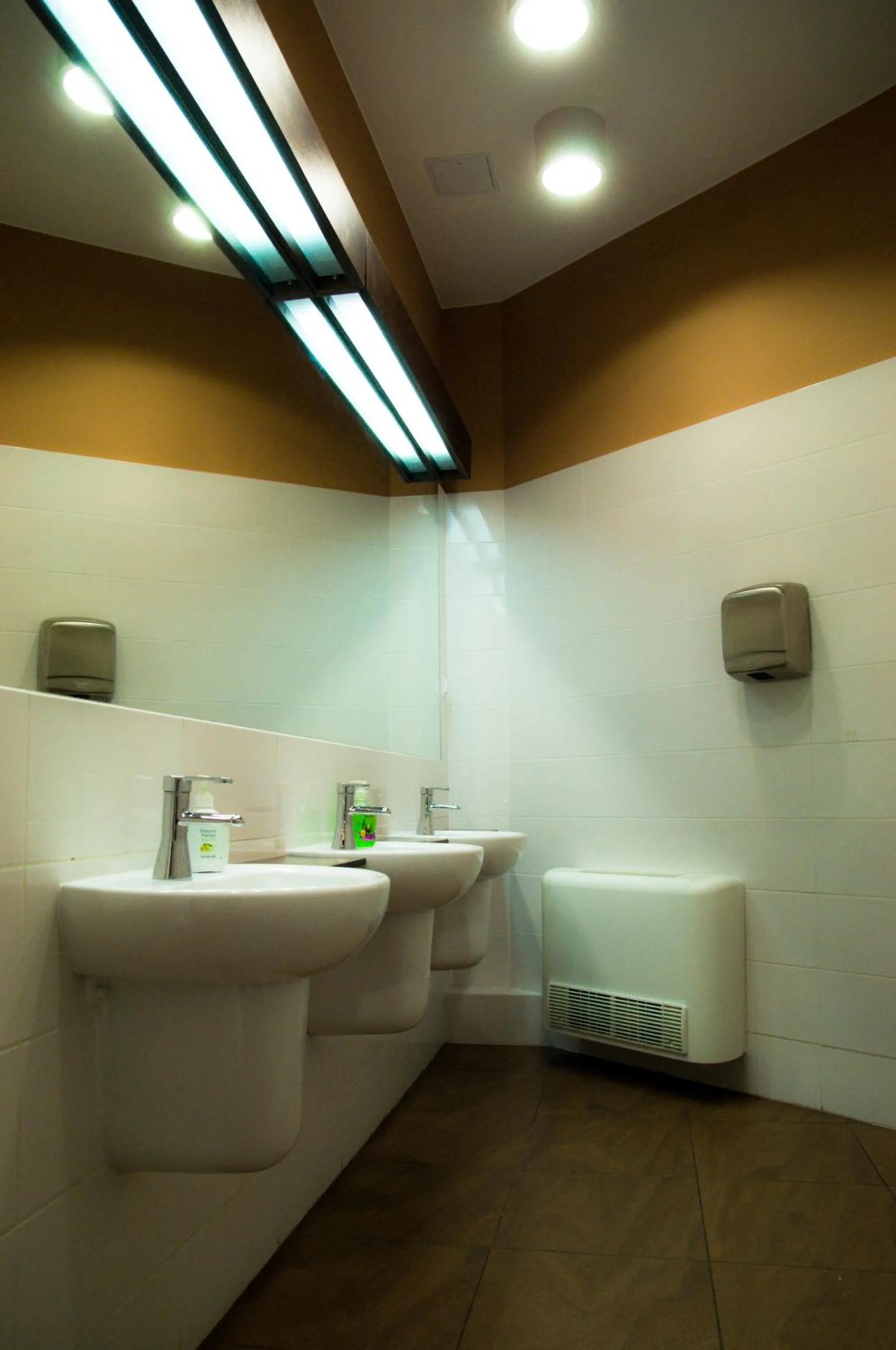 Bathroom in Grampa's Hostel