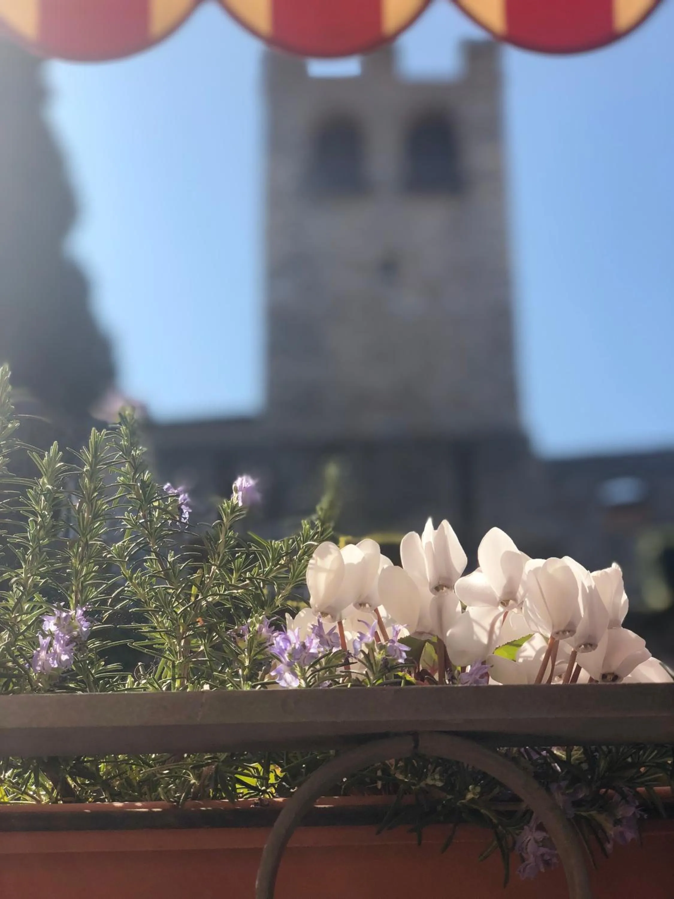 Decorative detail in The Tower Of The Old King