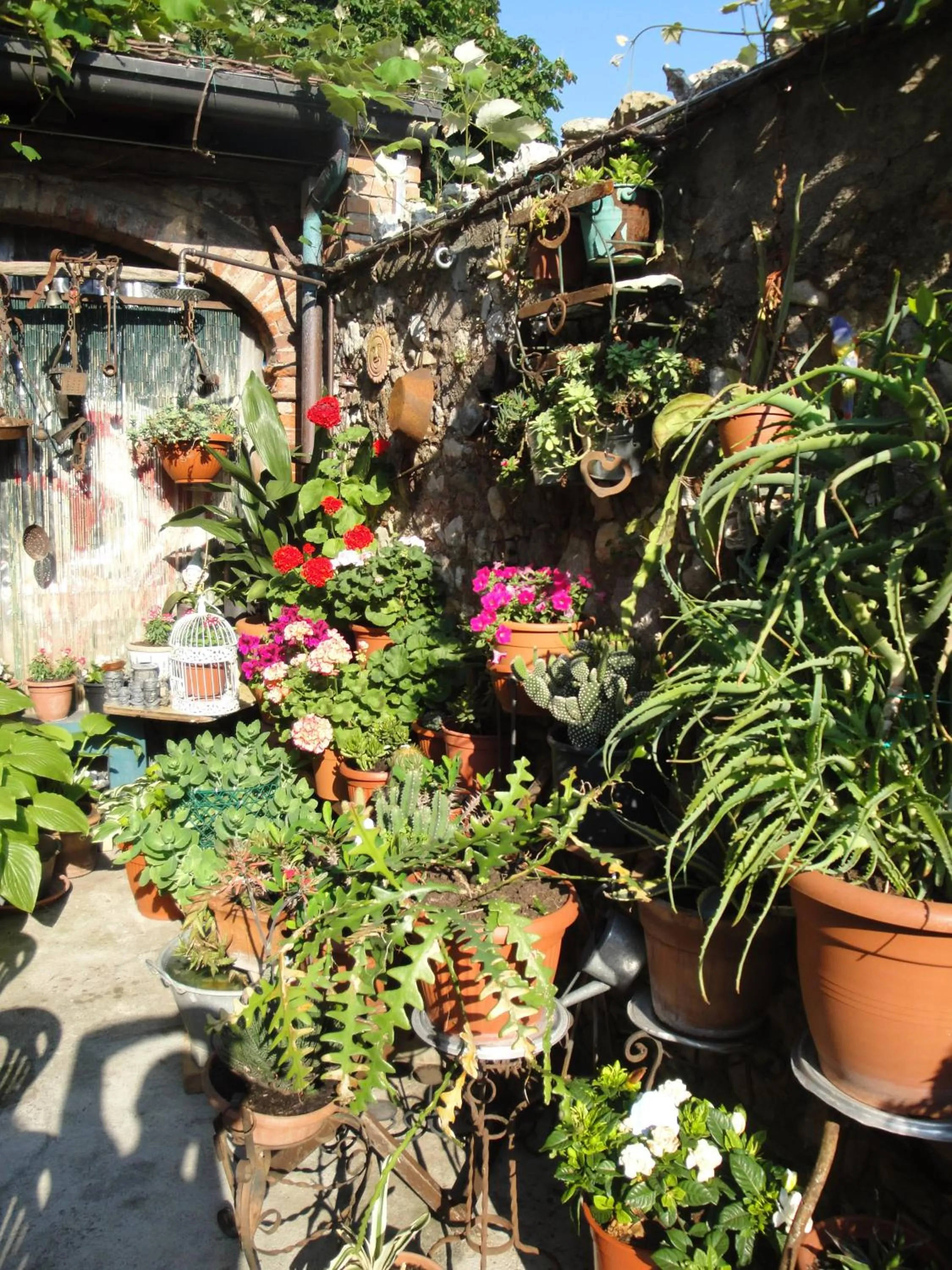 Decorative detail in The Tower Of The Old King