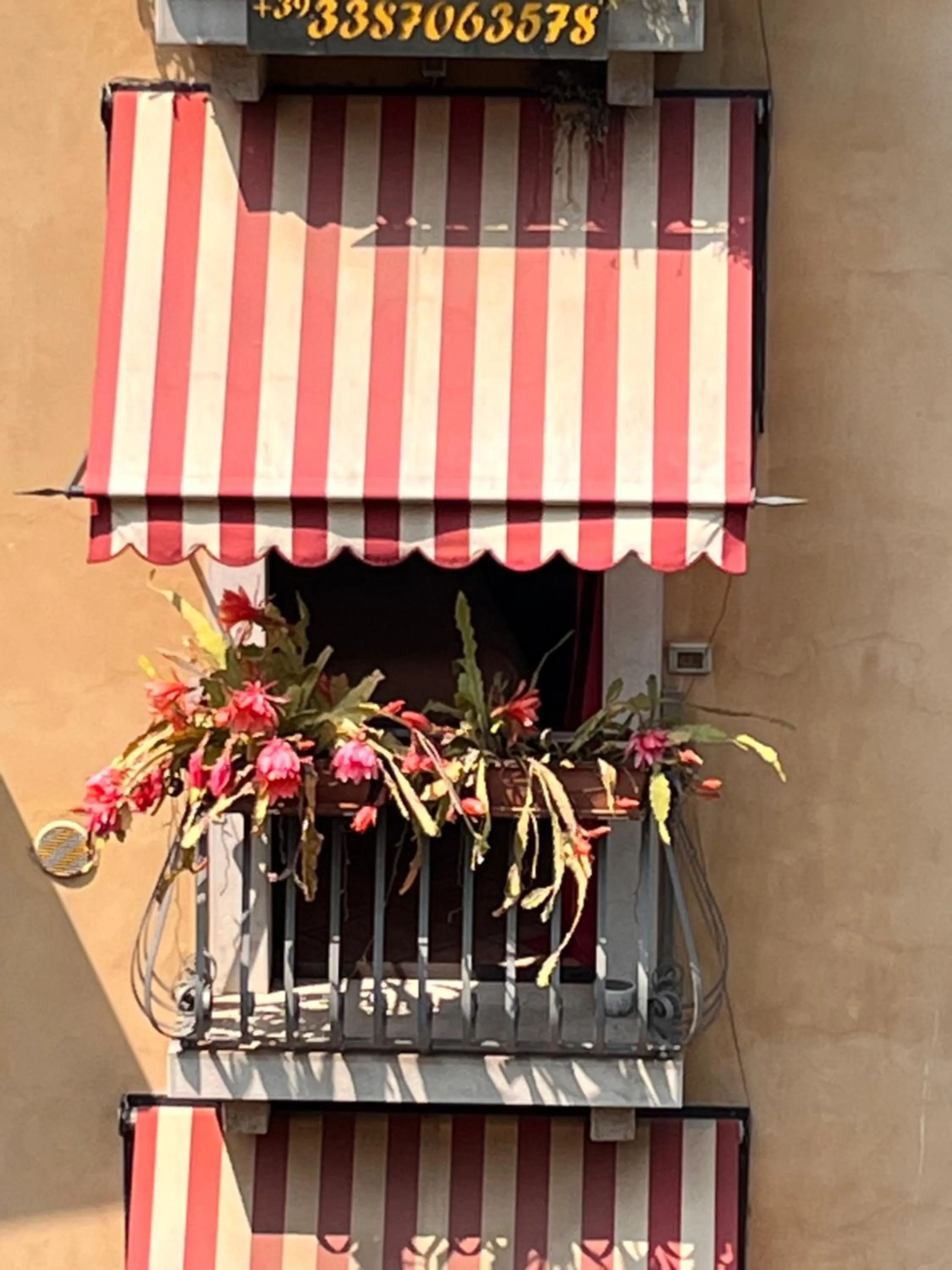 The Tower Of The Old King