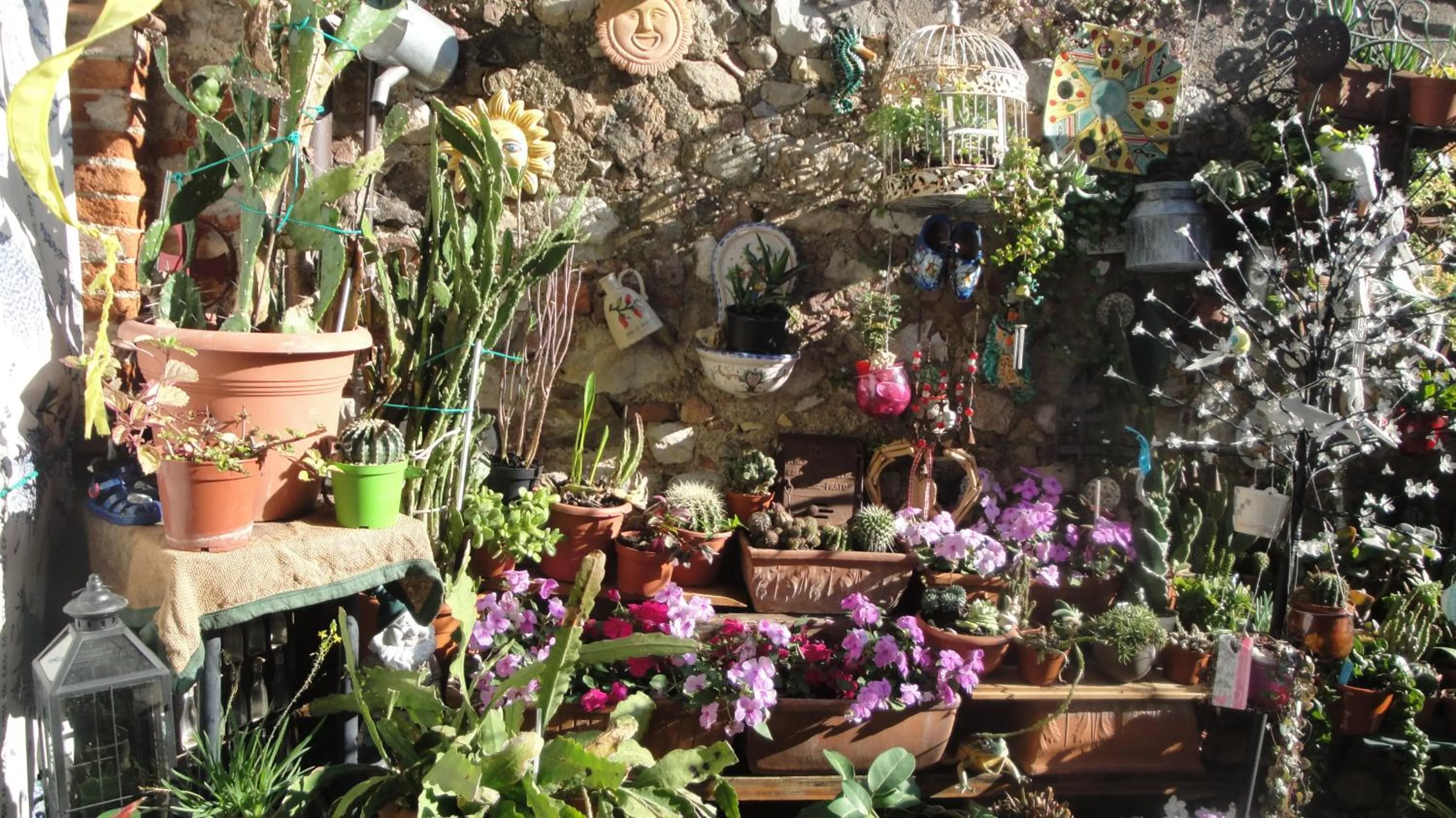 Garden in The Tower Of The Old King