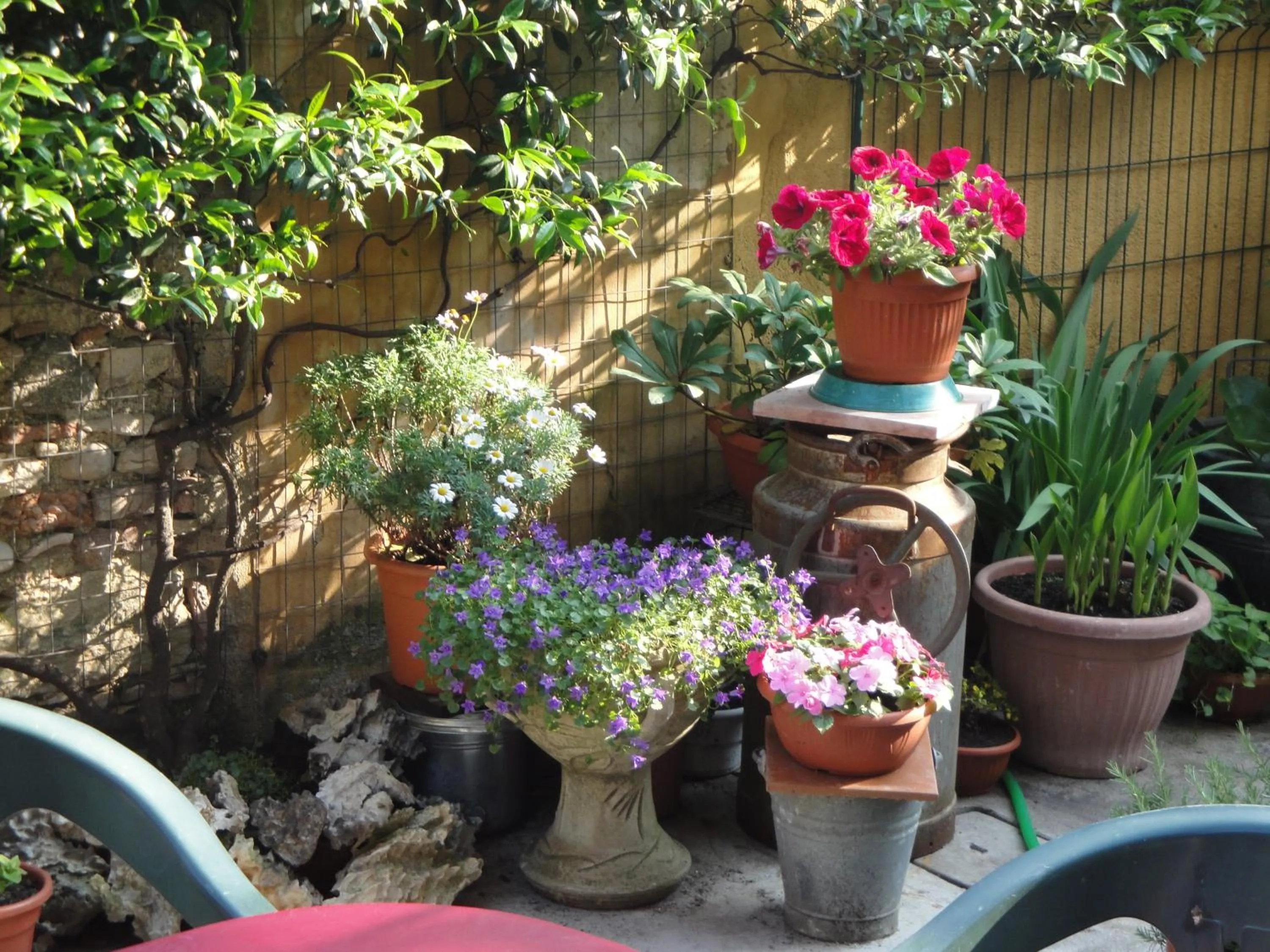 Garden in The Tower Of The Old King