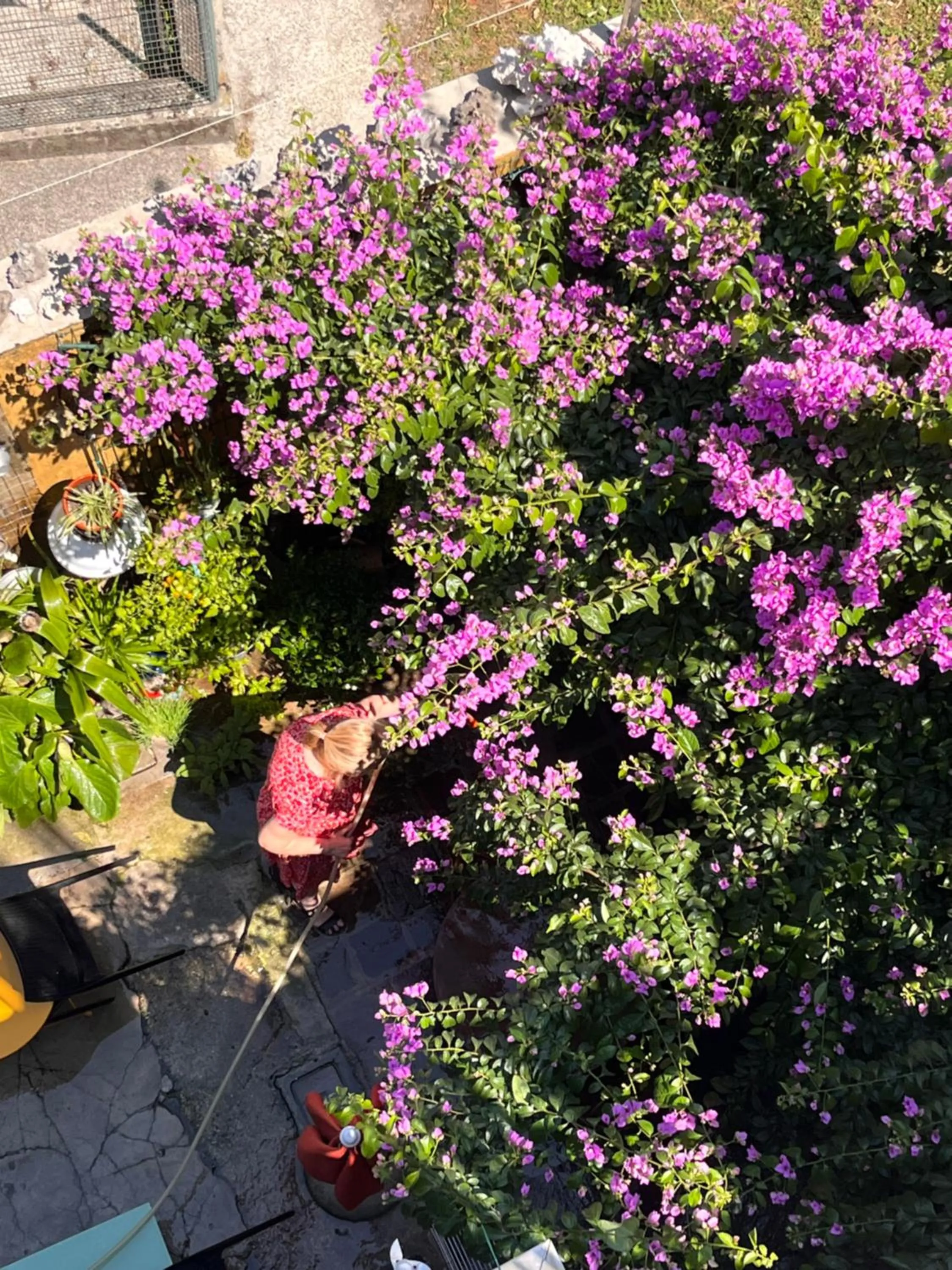 The Tower Of The Old King