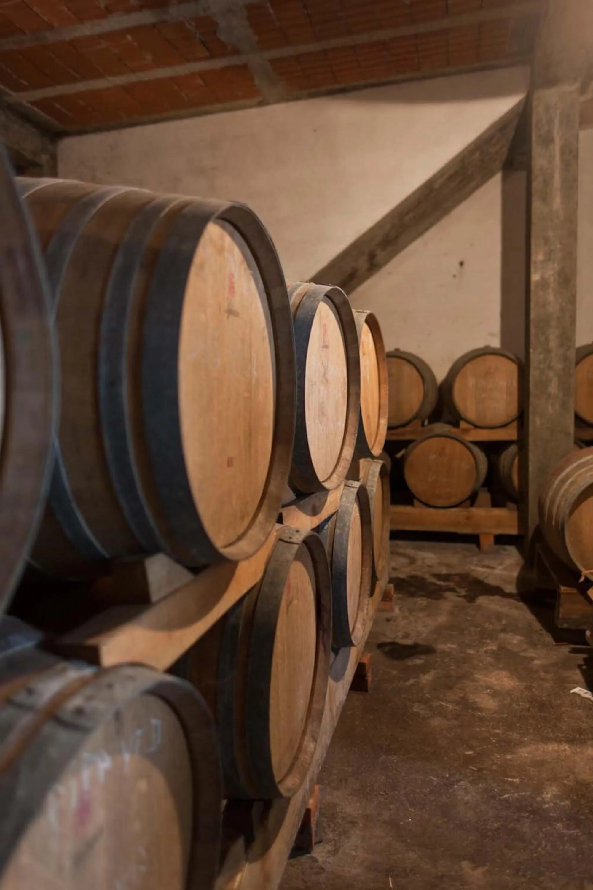 Food and drinks in Curia Palace Hotel & Spa