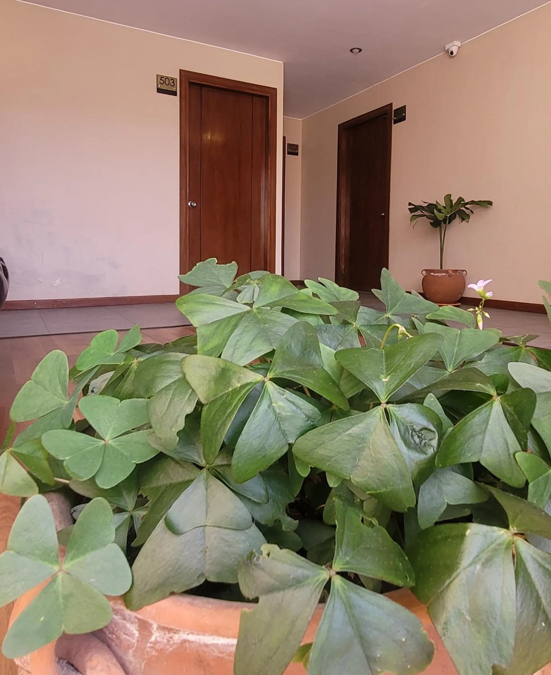 Property building in Hotel Madrid