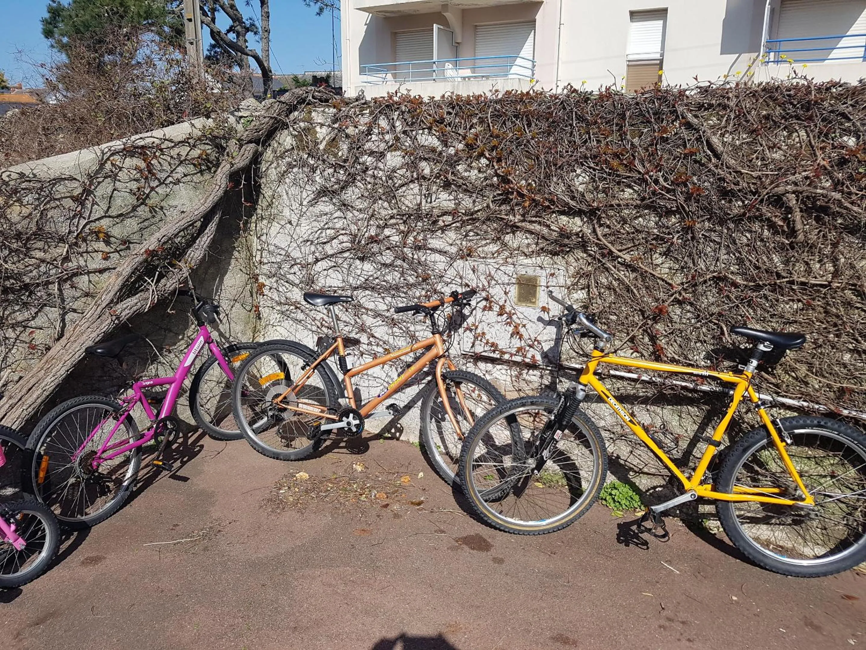 Day in Les Chants d'Ailes - Hôtel Face Mer