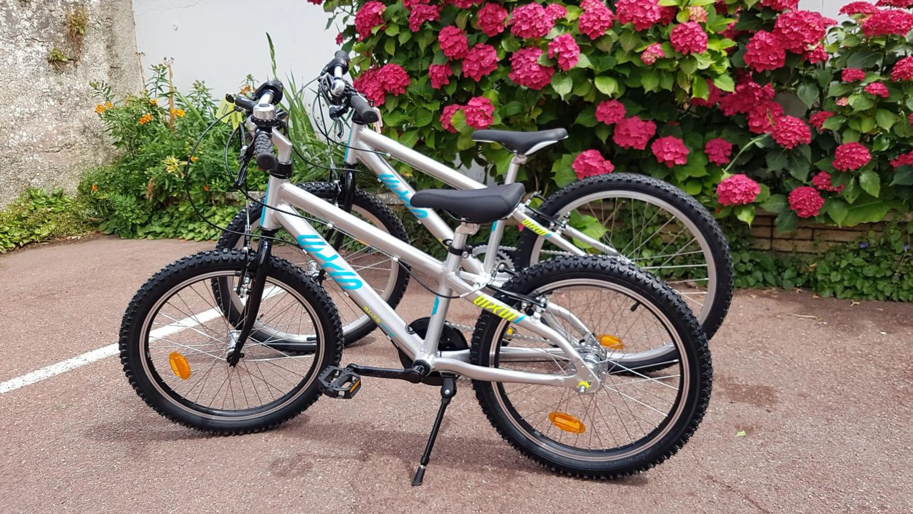 Day in Les Chants d'Ailes - Hôtel Face Mer