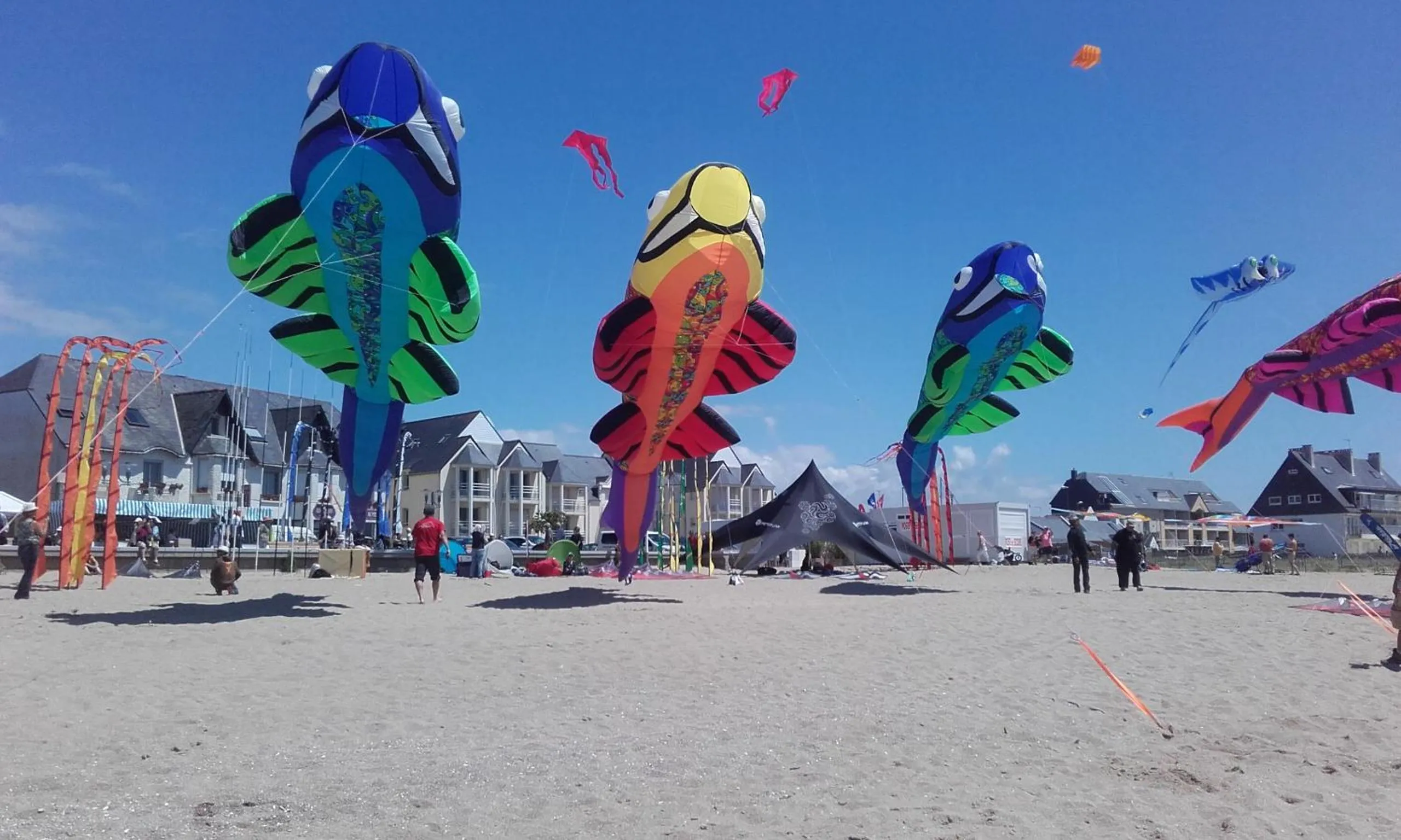 Beach in Les Chants d'Ailes - Hôtel Face Mer