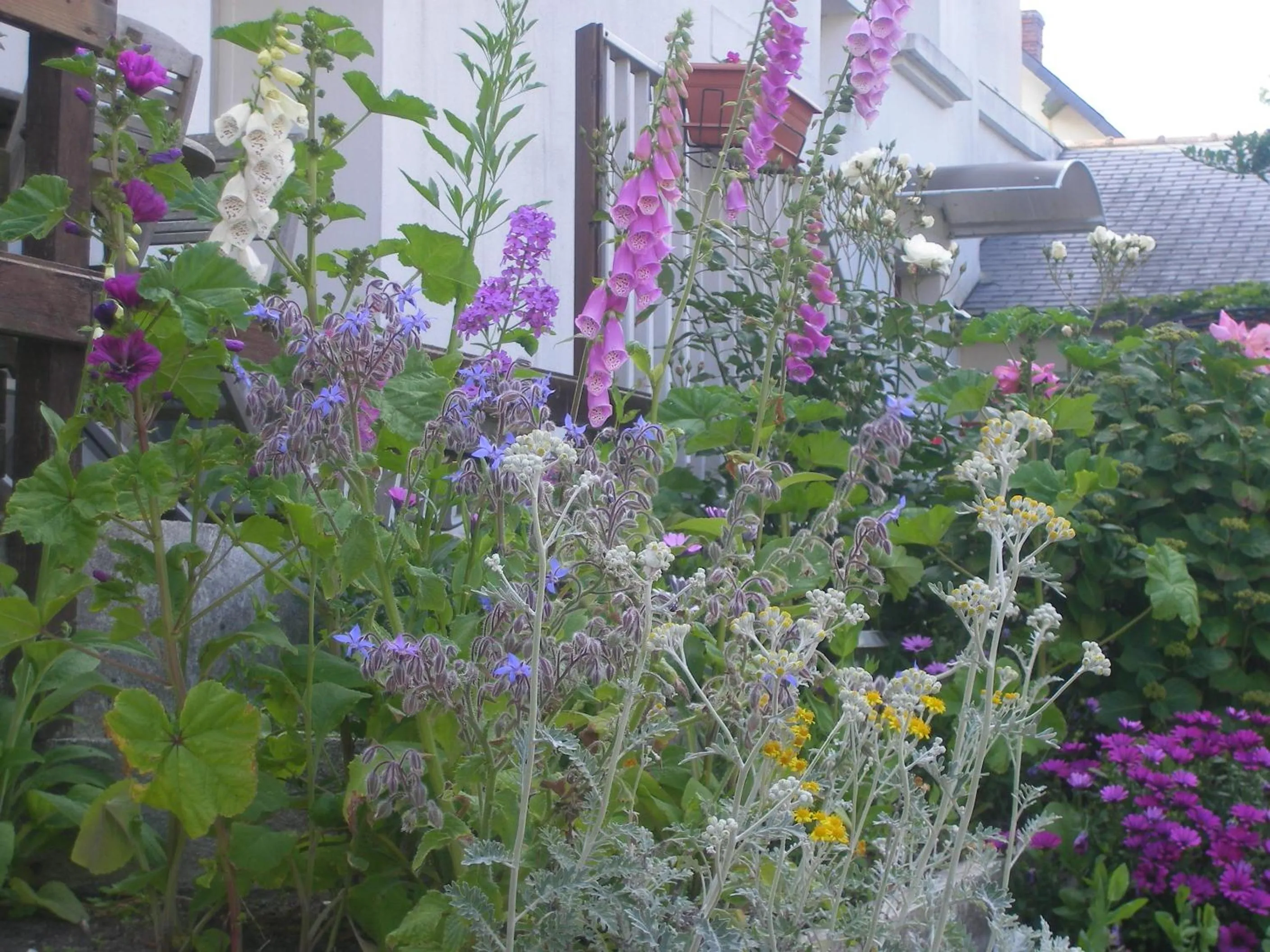 Spring in Les Chants d'Ailes - Hôtel Face Mer