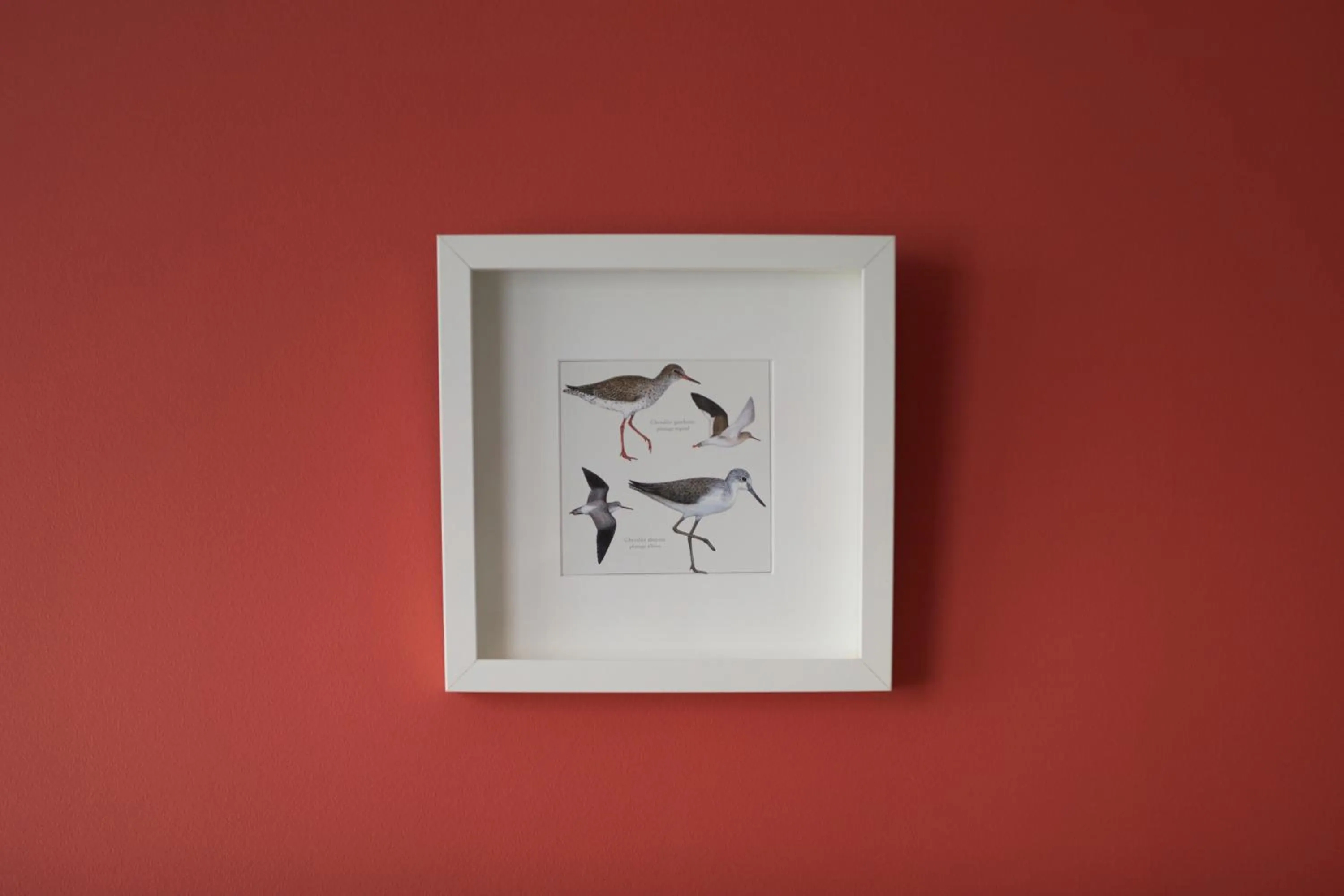 Decorative detail in Les Chants d'Ailes - Hôtel Face Mer