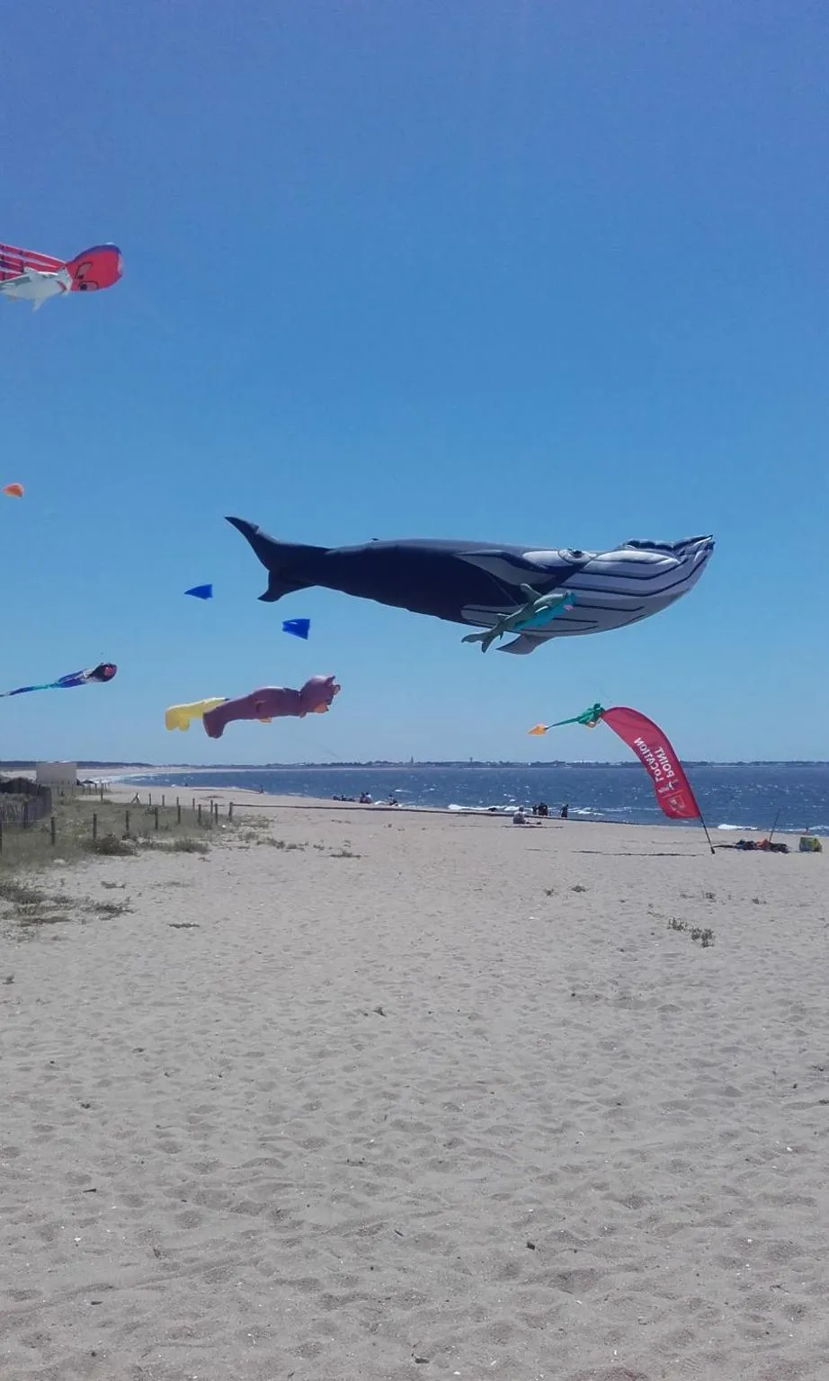 Beach in Les Chants d'Ailes - Hôtel Face Mer