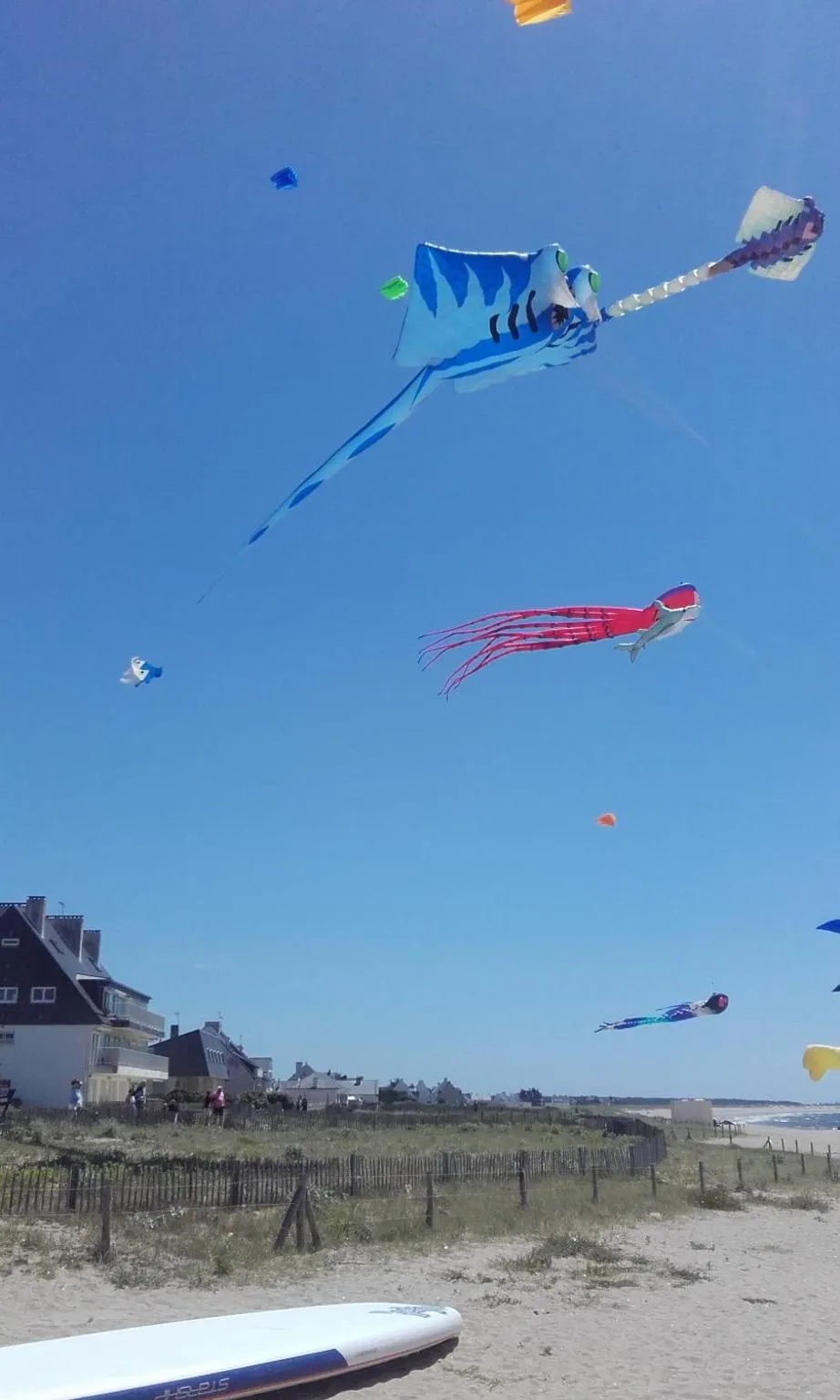 Beach in Les Chants d'Ailes - Hôtel Face Mer