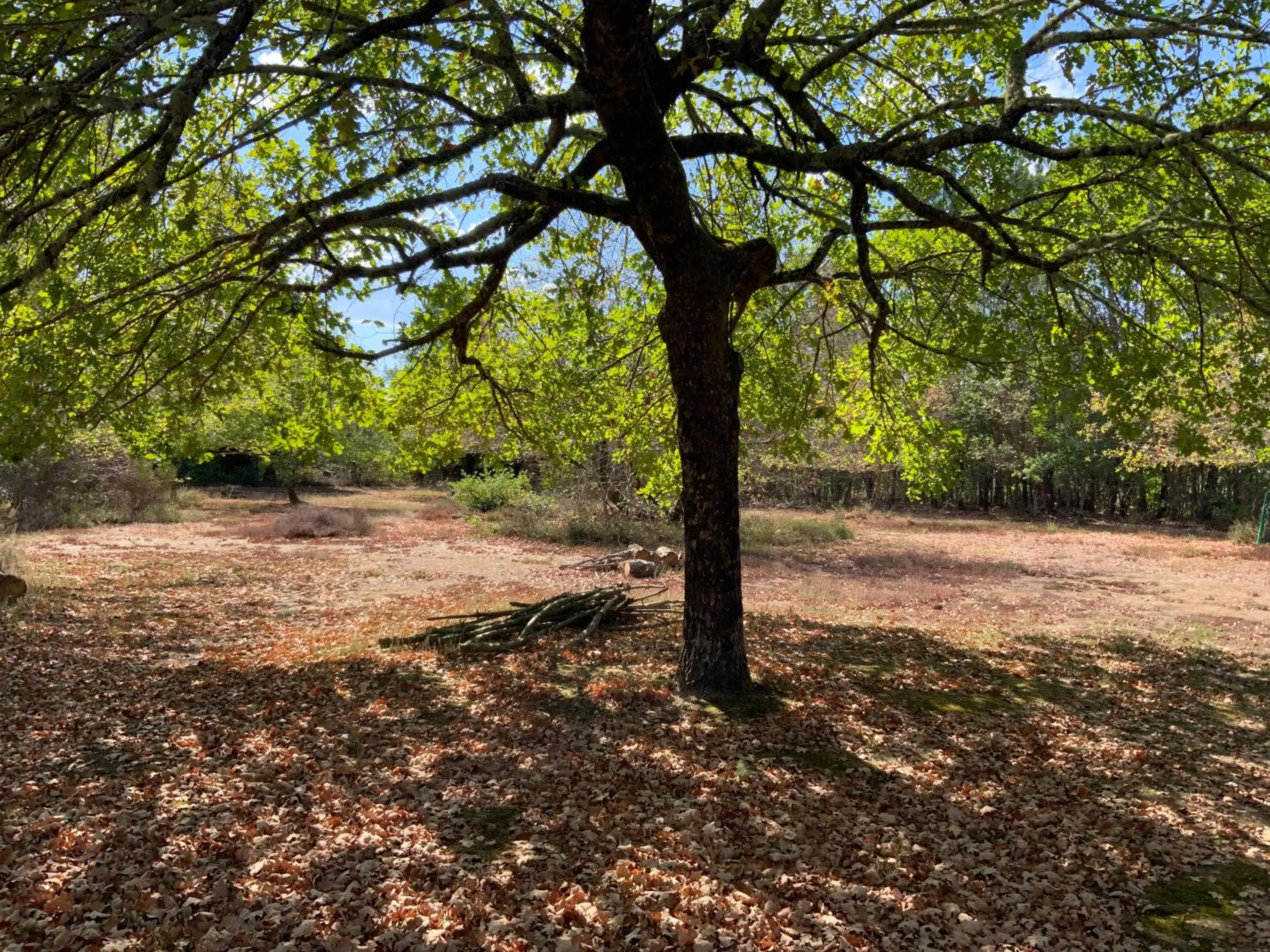 Garden in Domaine de Labelo