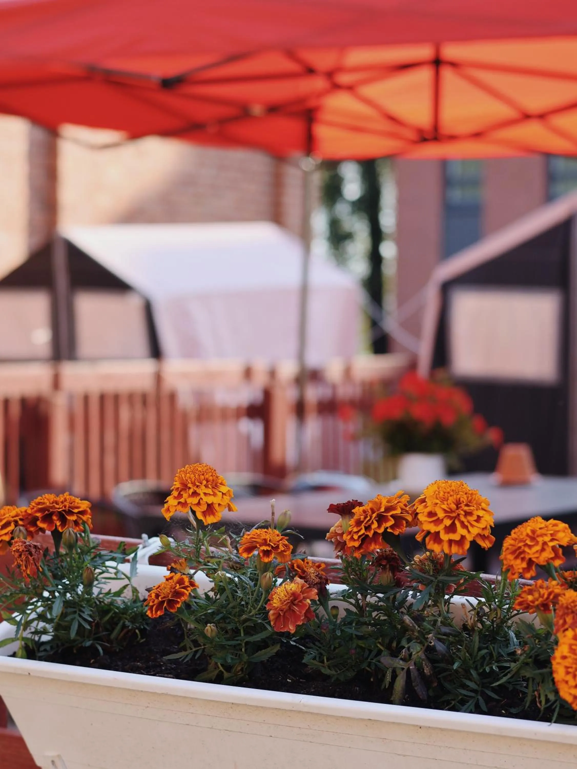 Day in Huoneistohotelli Marja