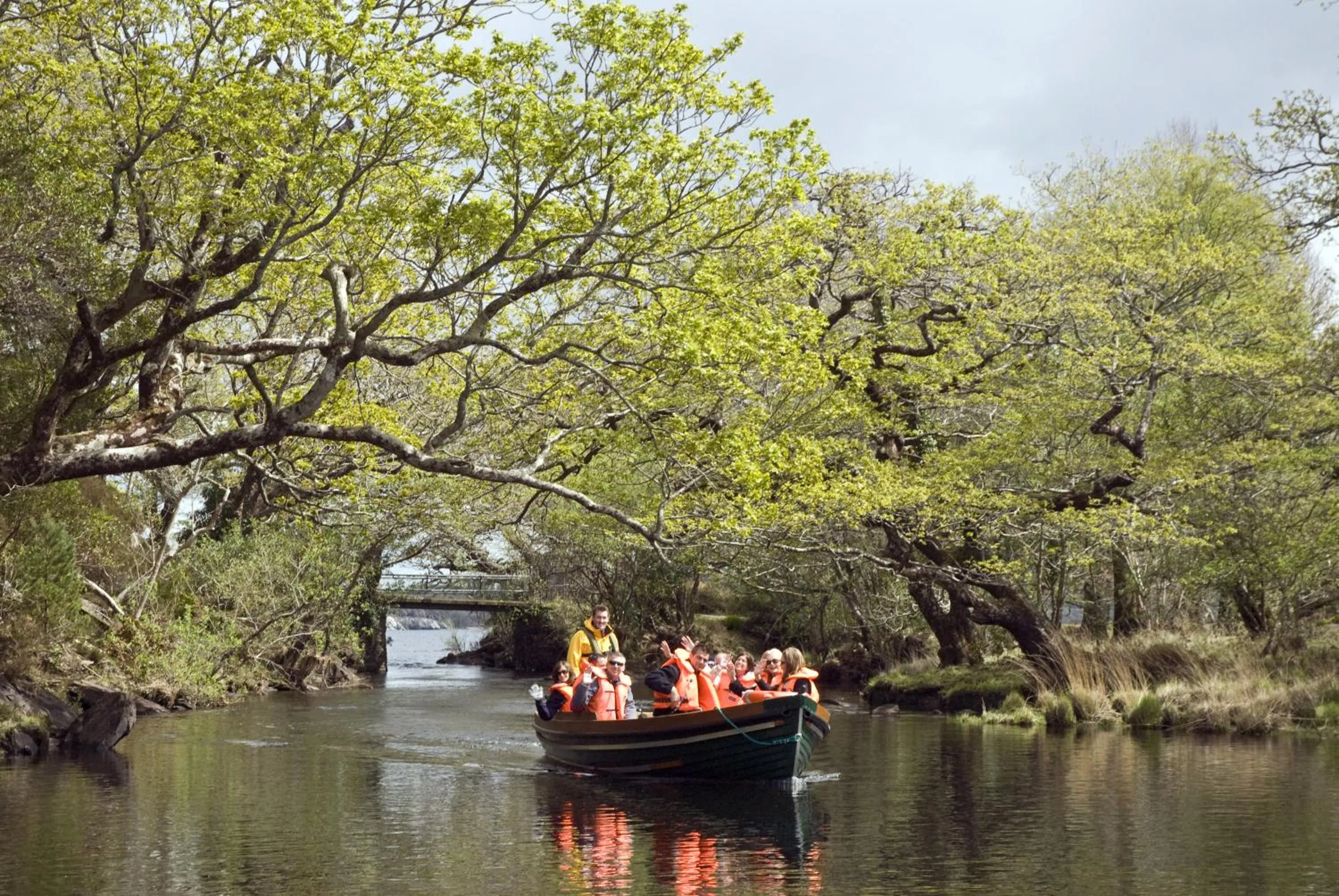 Area and facilities in Old Weir Lodge