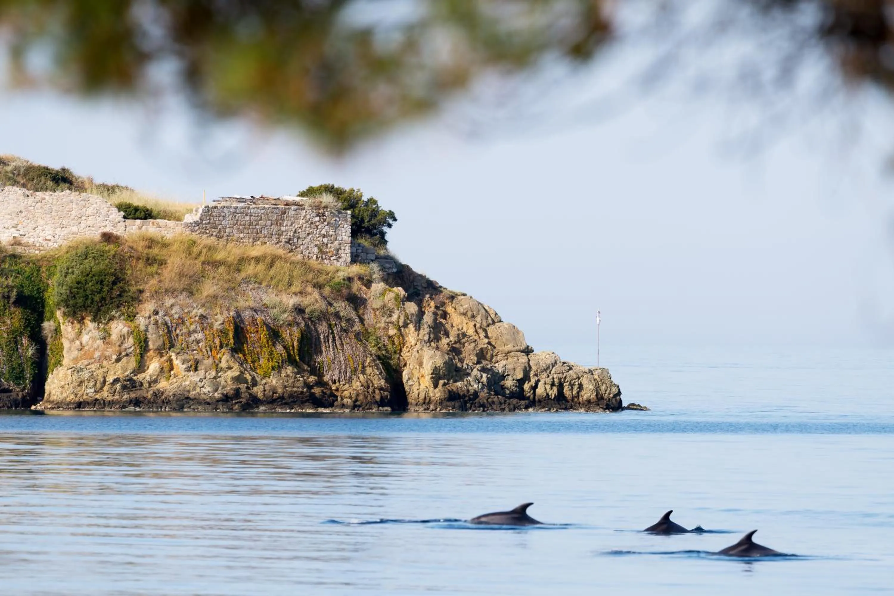 Beach in Akti Toroni Boutique Hotel