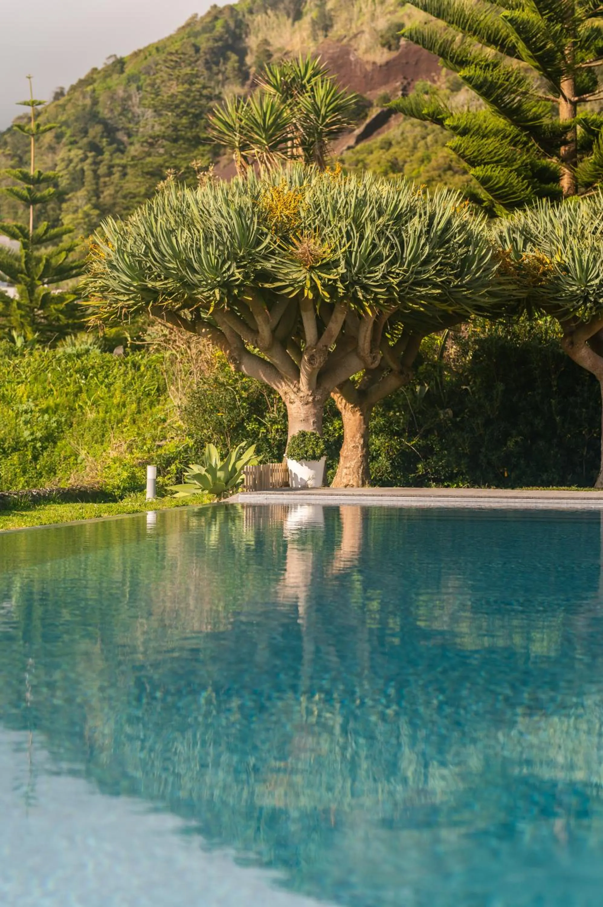 Garden in ANC Resort