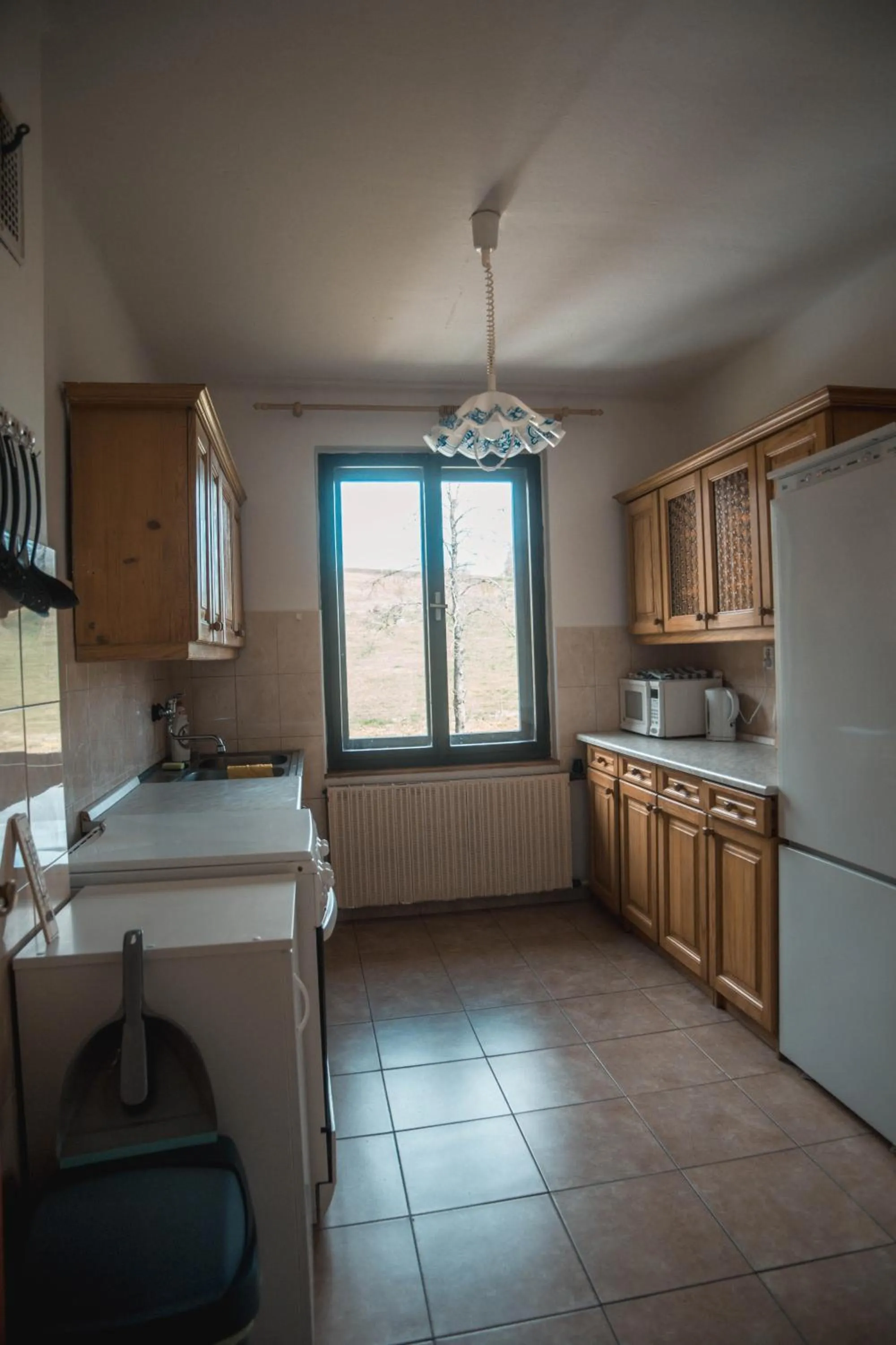 Kitchen or kitchenette in Apartmány Ve Mlejně