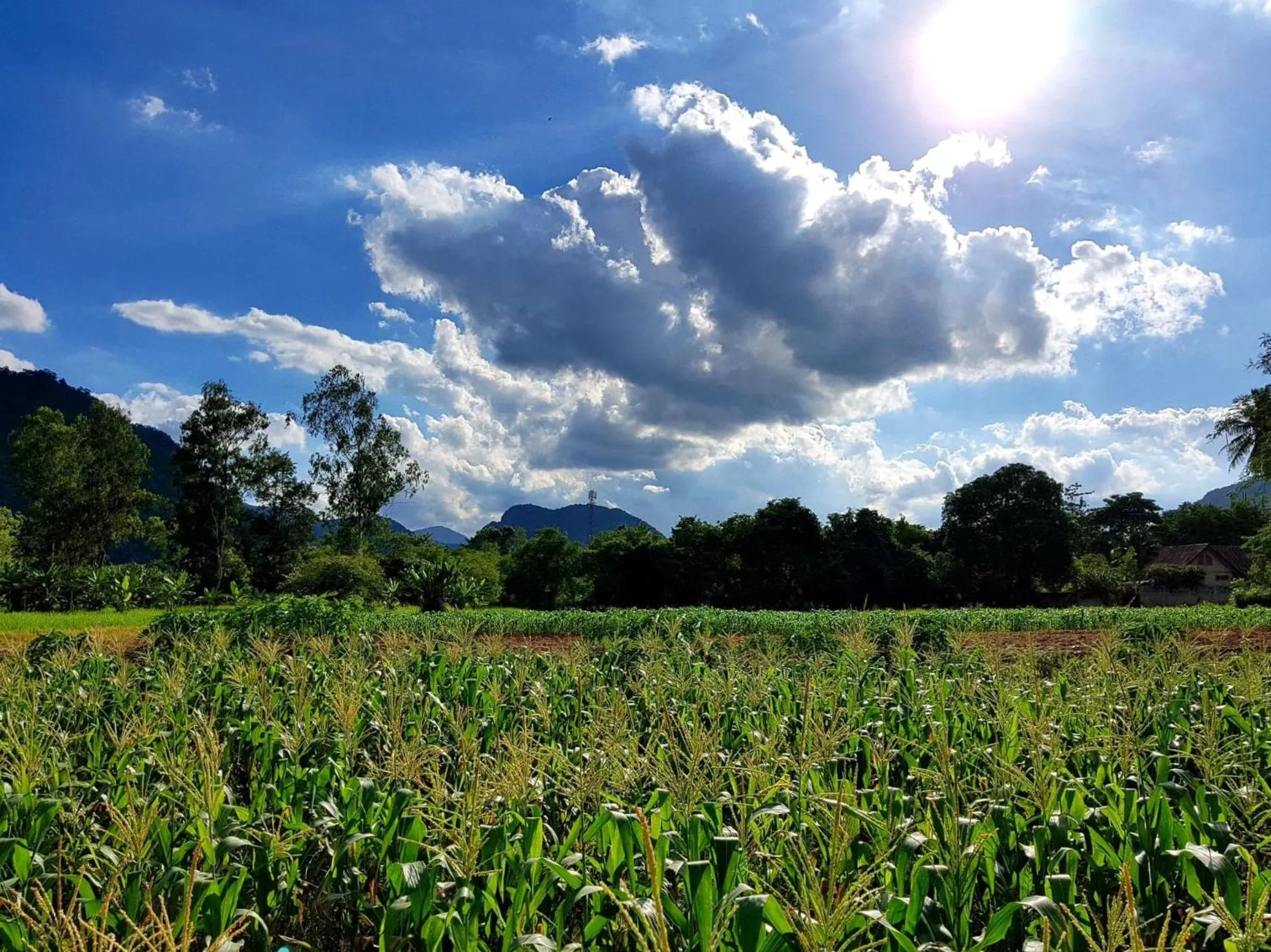 Mountain view in Plearn Khaoyai Resort