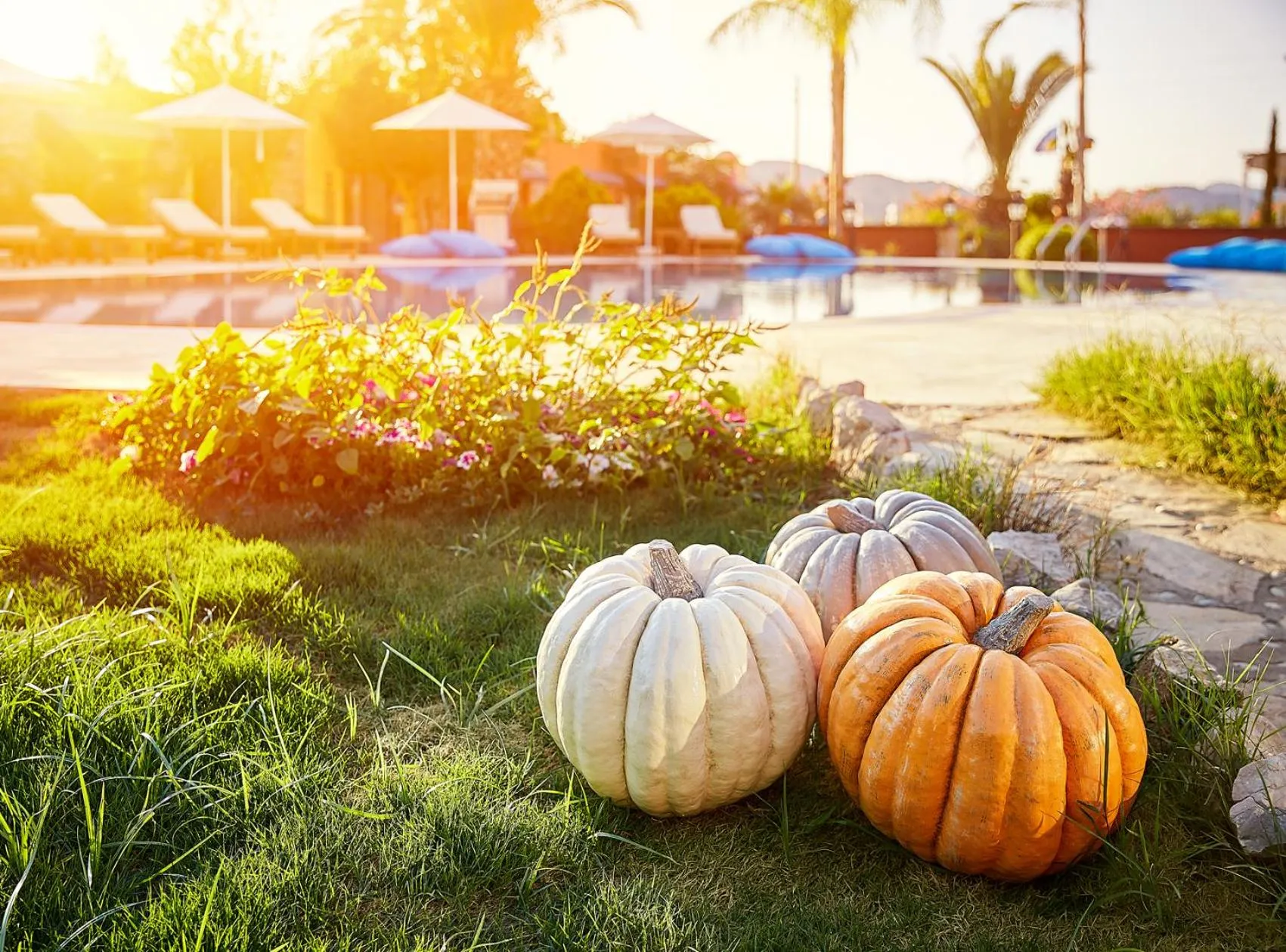 Garden in Fİ Light Solto Boutique Beach Hotel