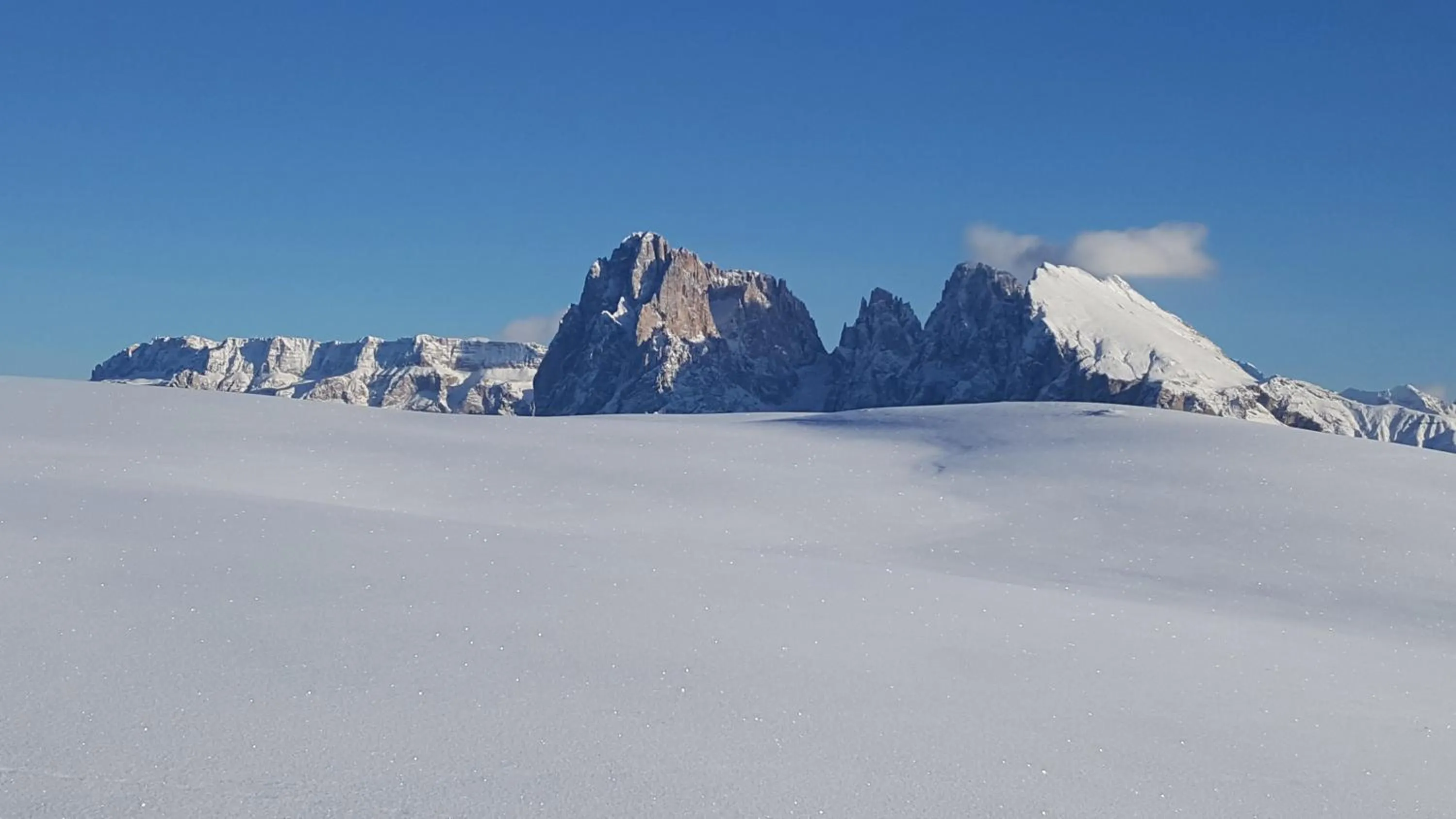 Winter in Hotel Alpenroyal