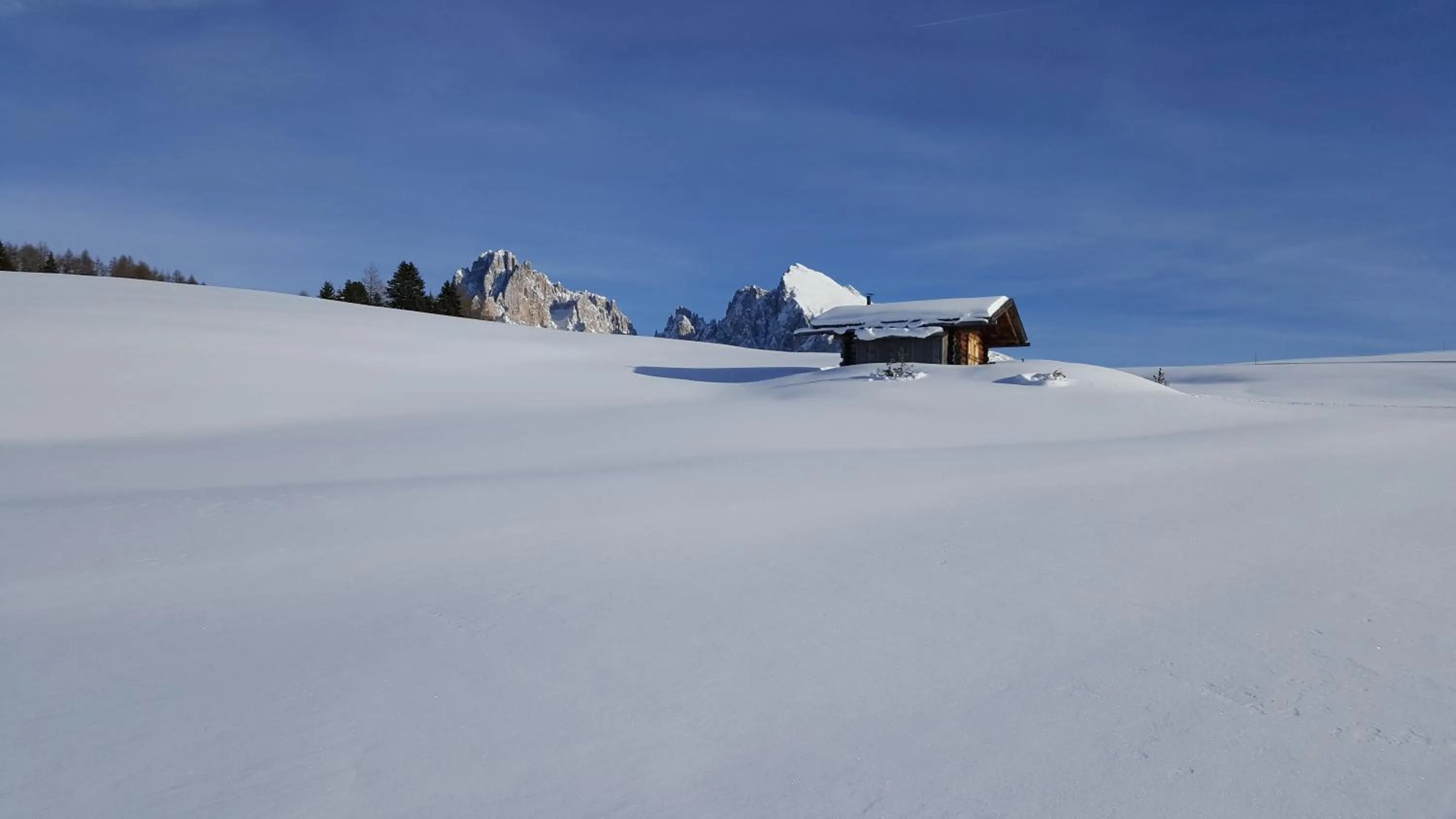 Winter in Hotel Alpenroyal