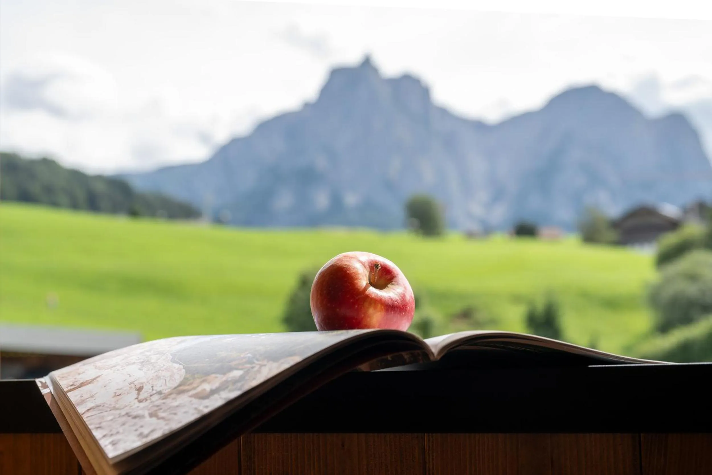 Natural landscape in Hotel Alpenroyal