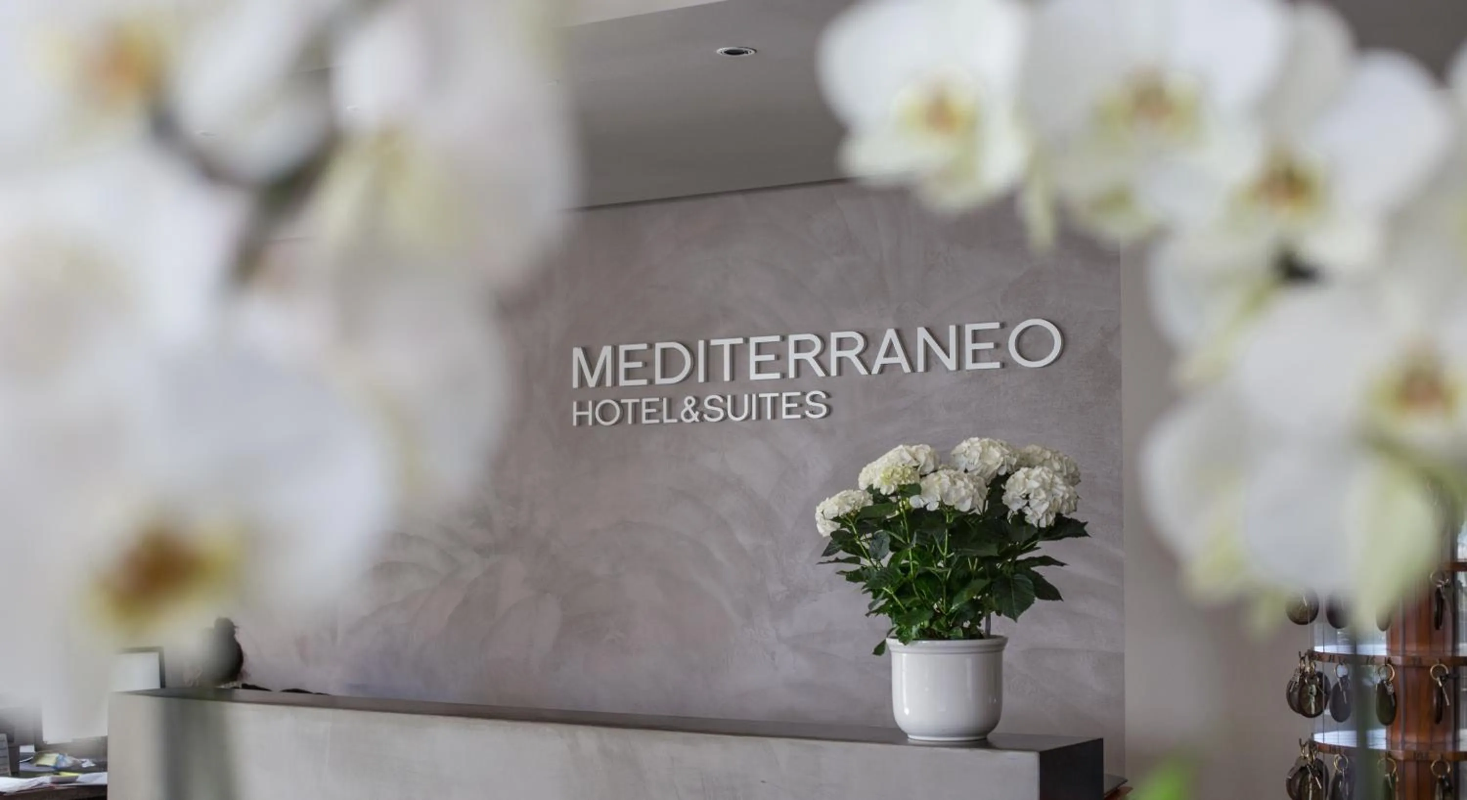 Property logo or sign in Mediterraneo Hotel & Suites