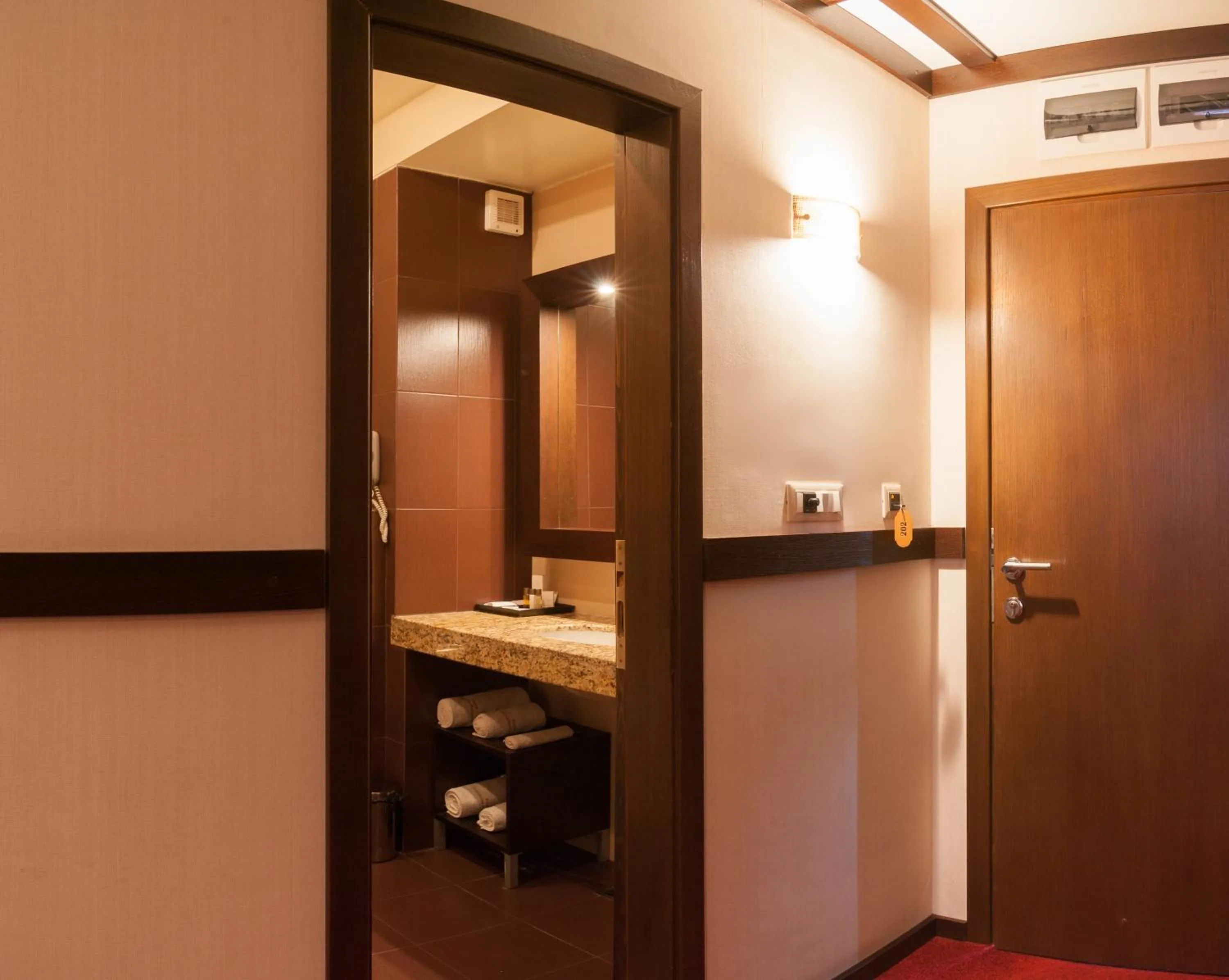 Bathroom in Hotel Domaine Peshtera