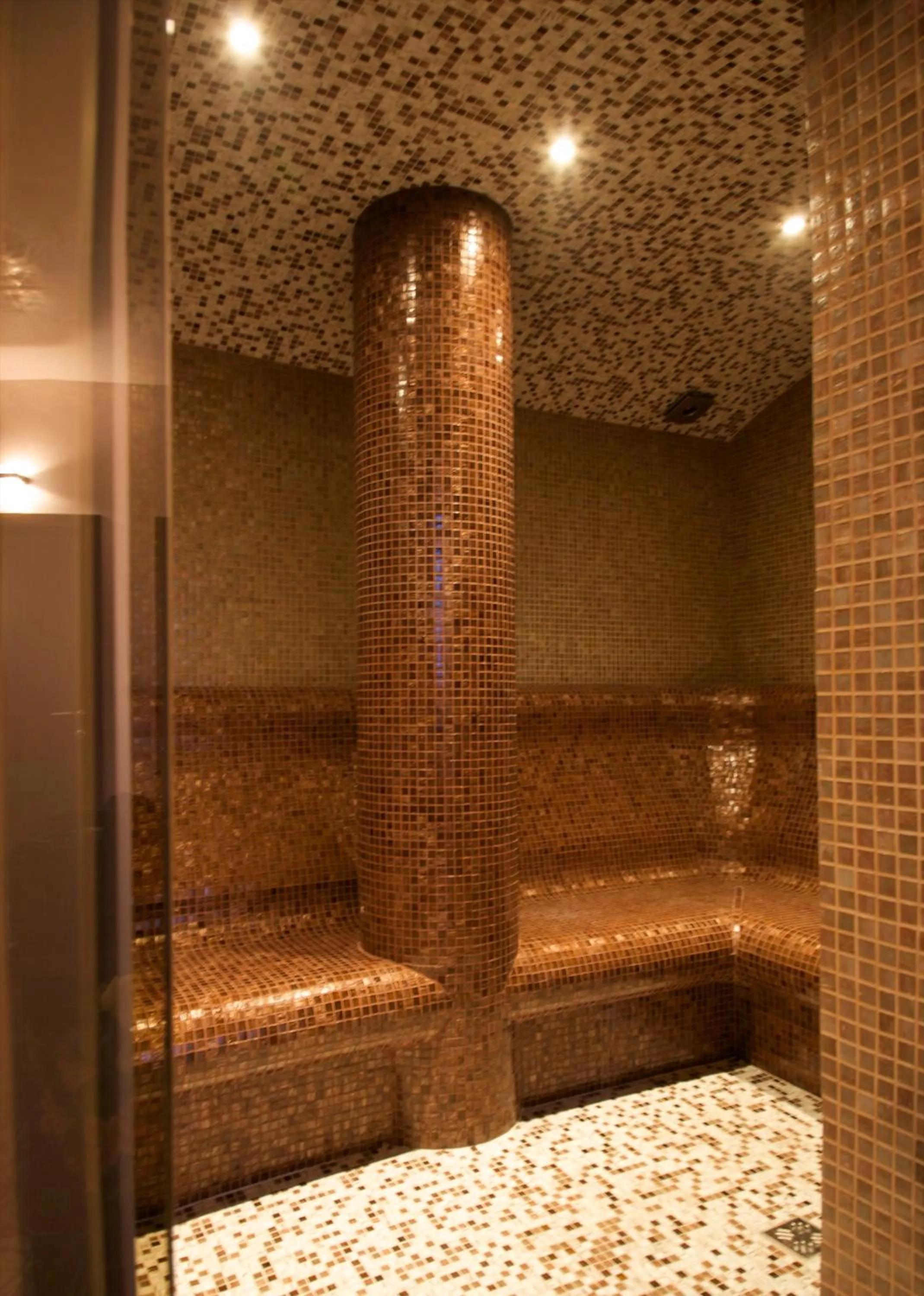 Steam room in Hotel Domaine Peshtera