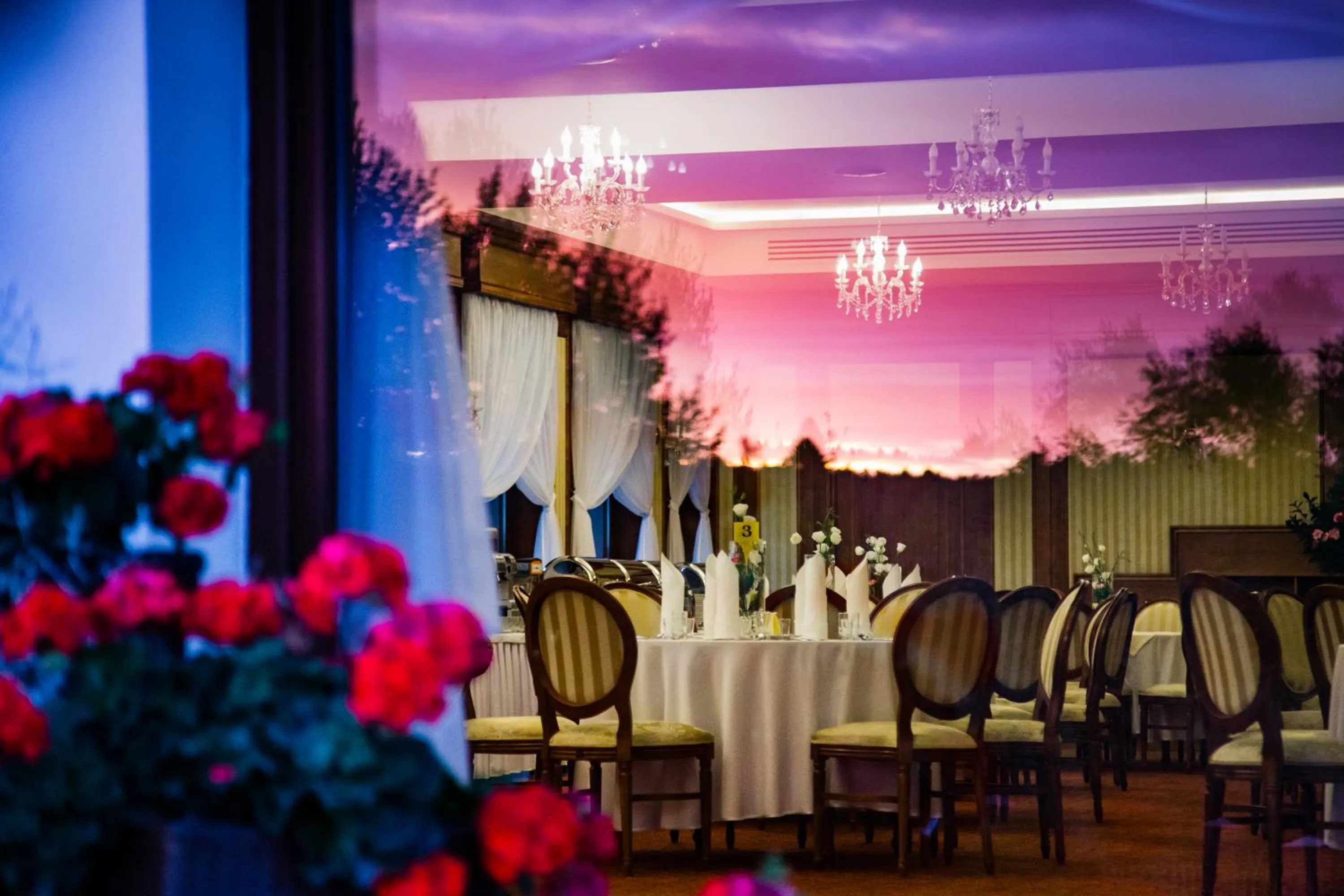 Restaurant/places to eat in Hotel Ventus Natural & Medical Spa