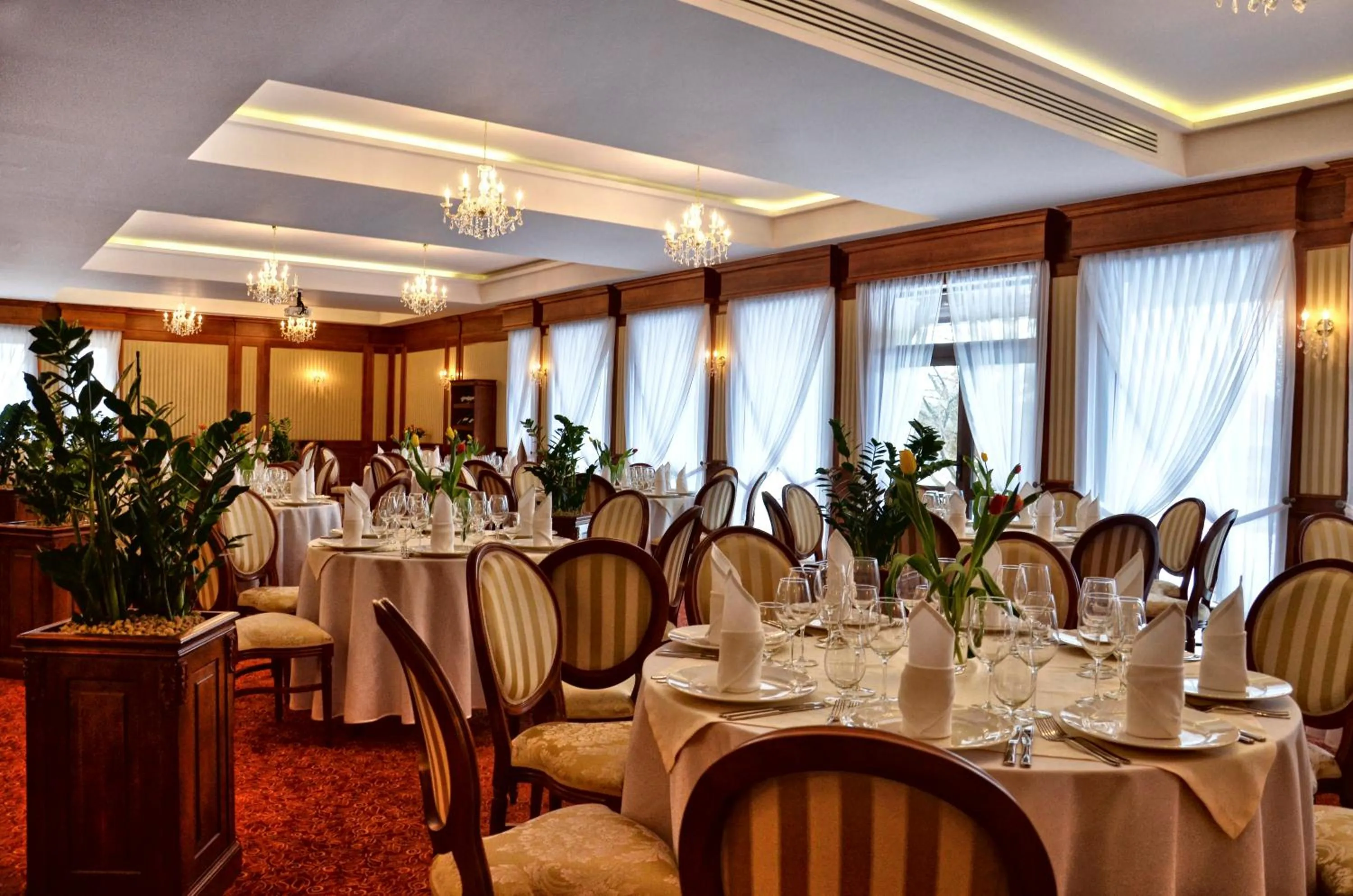 Restaurant/places to eat in Hotel Ventus Natural & Medical Spa