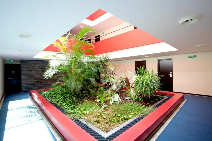 Property building in Hotel S Pedro - Arouca