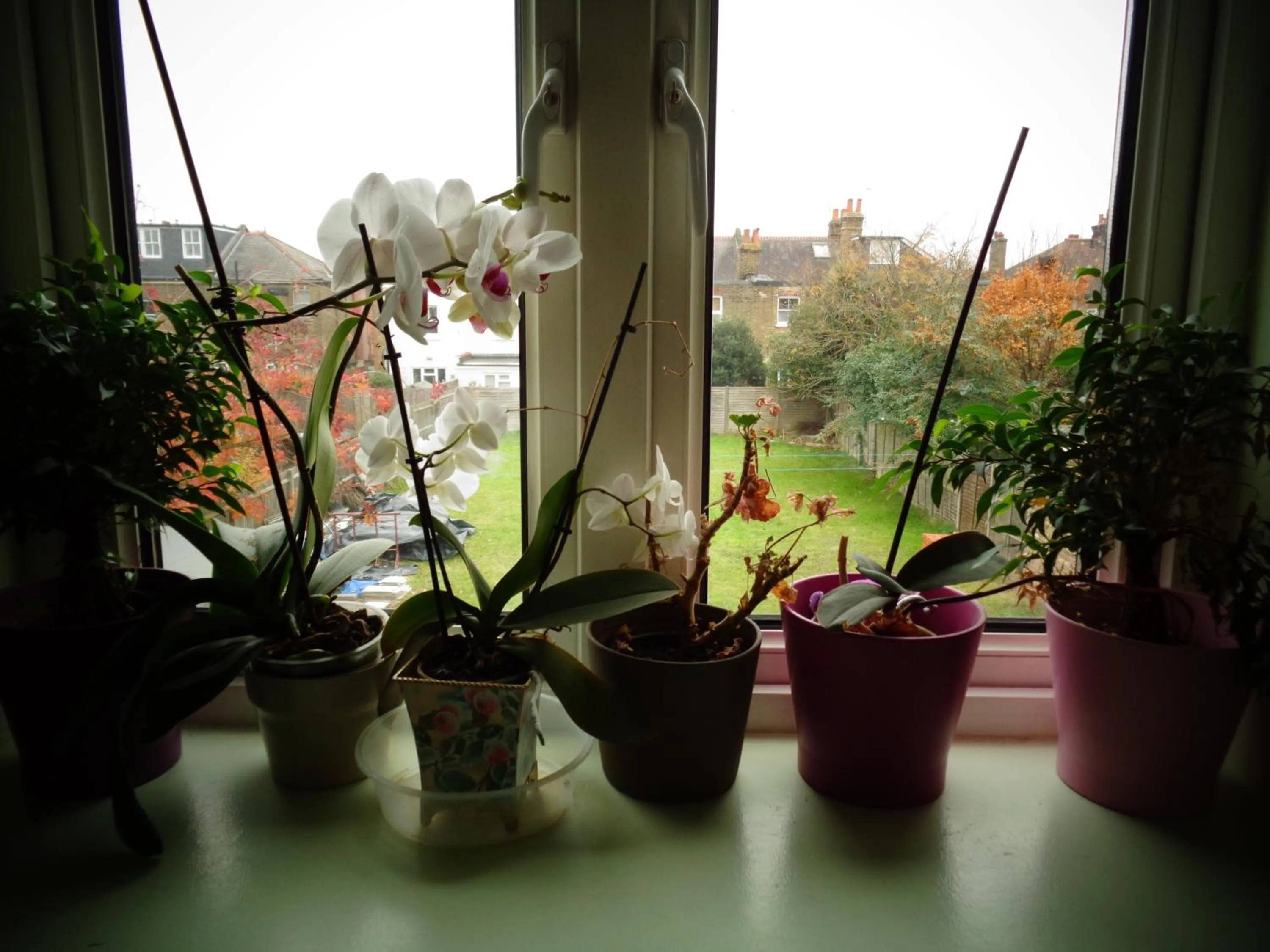 Day in Aron Guest House