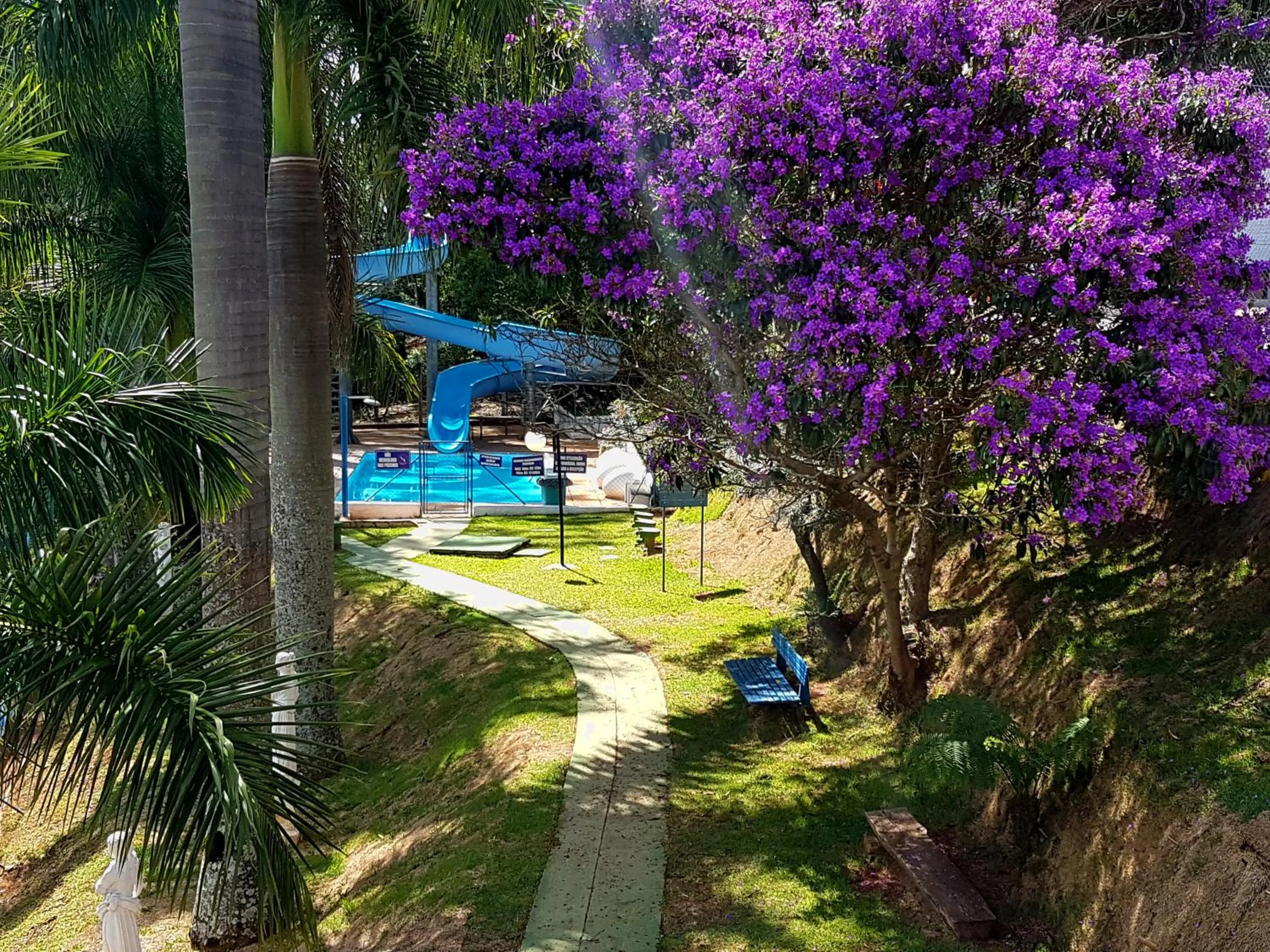 Garden in Hotel Akropolis
