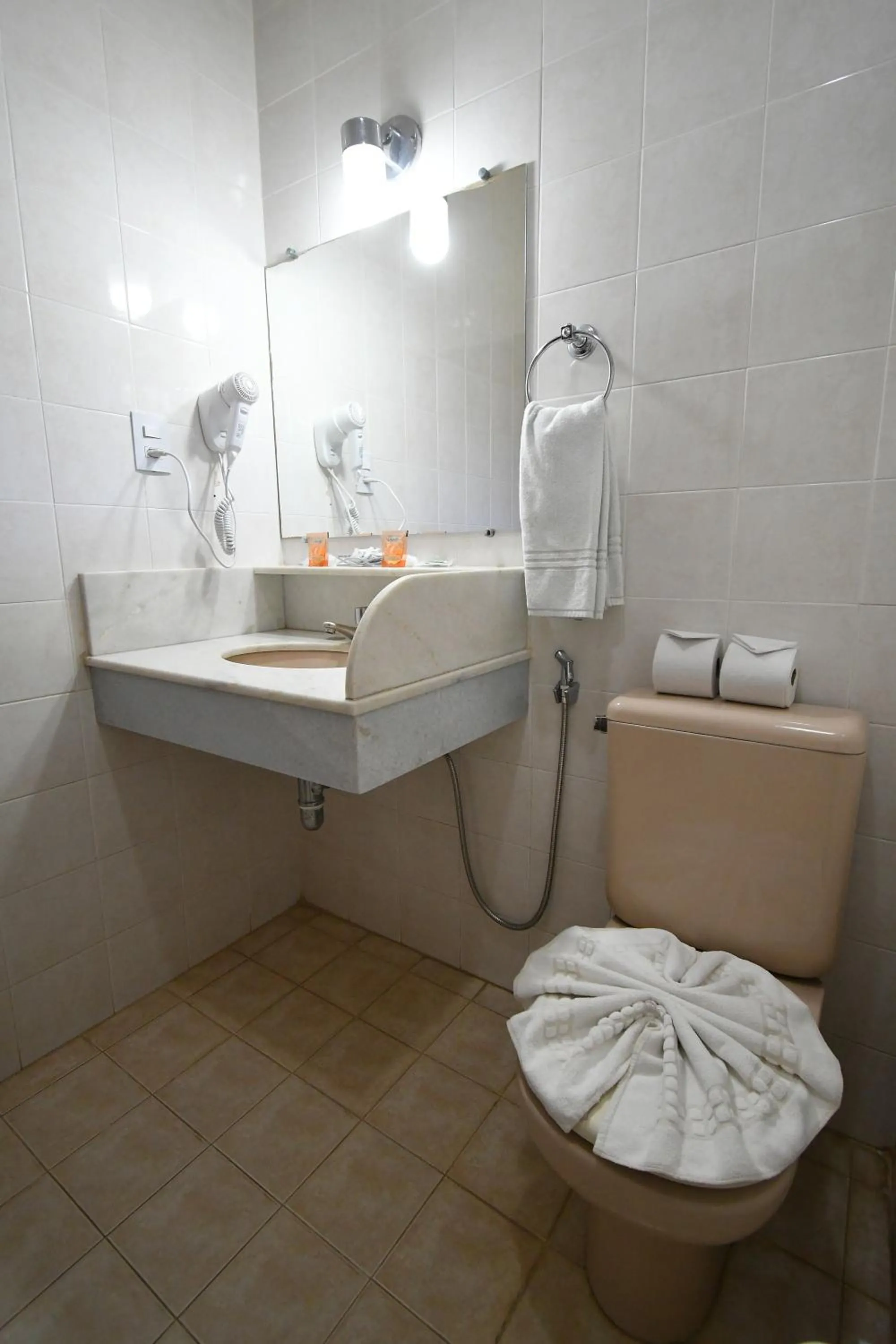 Toilet in Hotel Akropolis