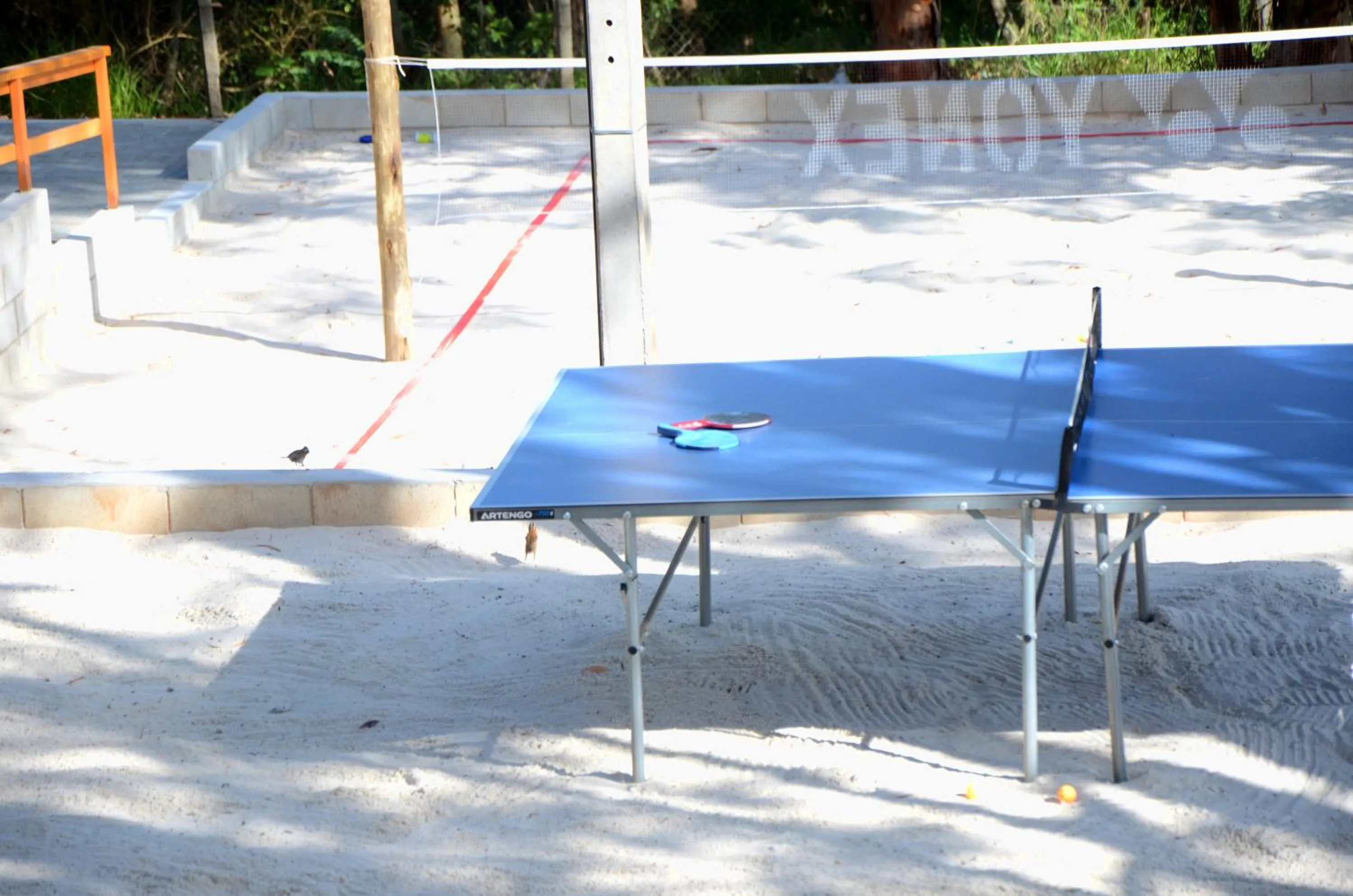 Table tennis in Hotel Akropolis