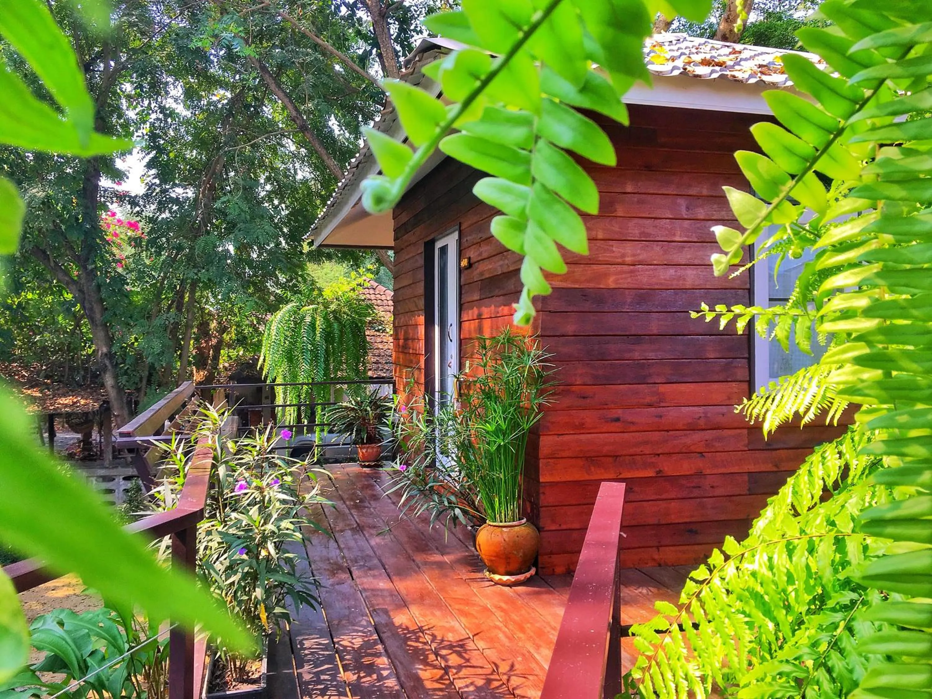 Mango House Sukhothai