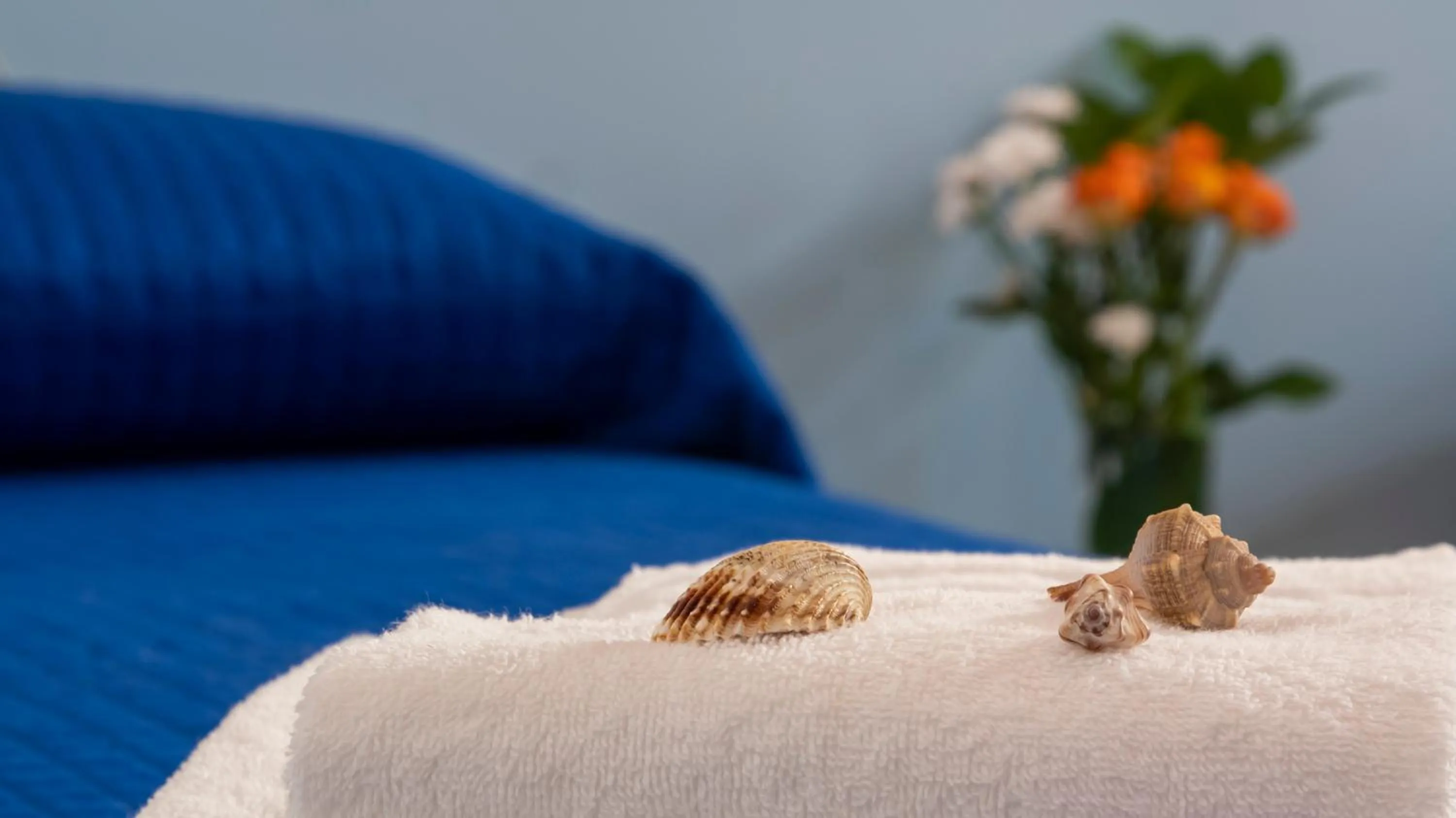 Bedroom, Bed in Hotel Plaza con piscina