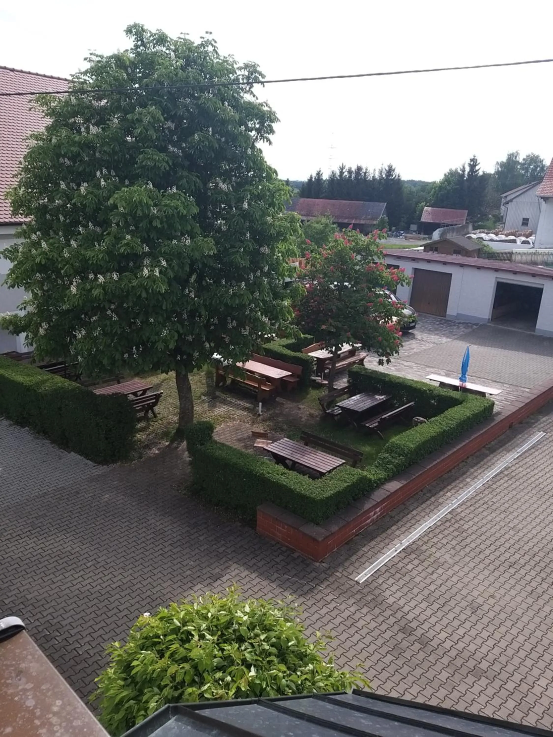 Restaurant/places to eat in Landgasthof Haagen